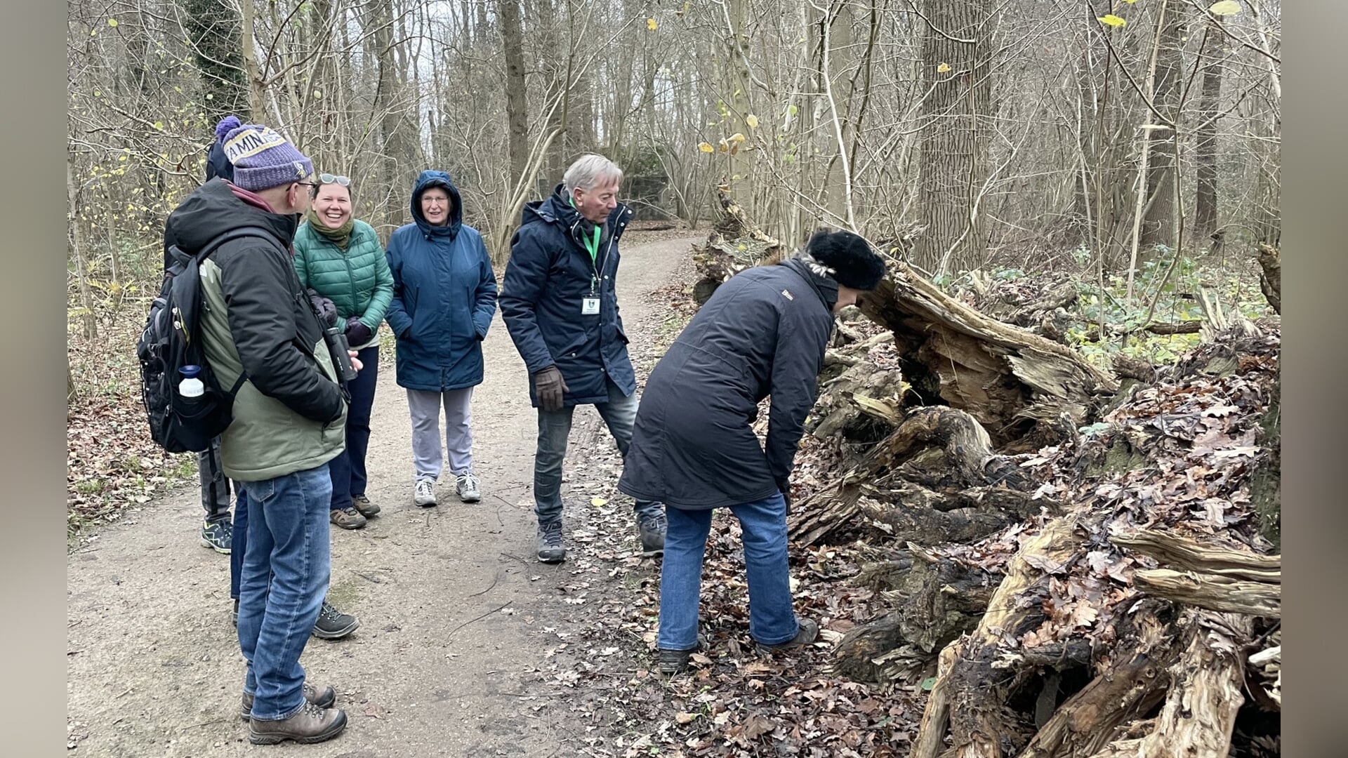 Bomenexcursie op Amelisweerd in Bunnik