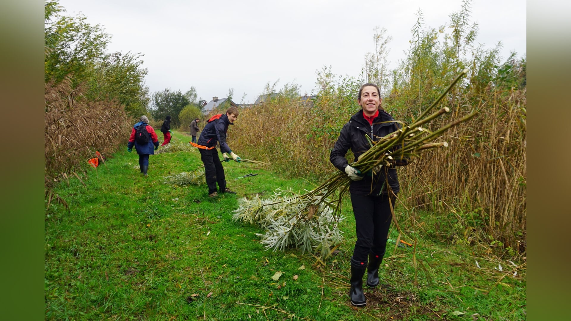 Vrijwilligers helpen bij onderhoud in De Groene Grens tijdens Natuurwerkdag