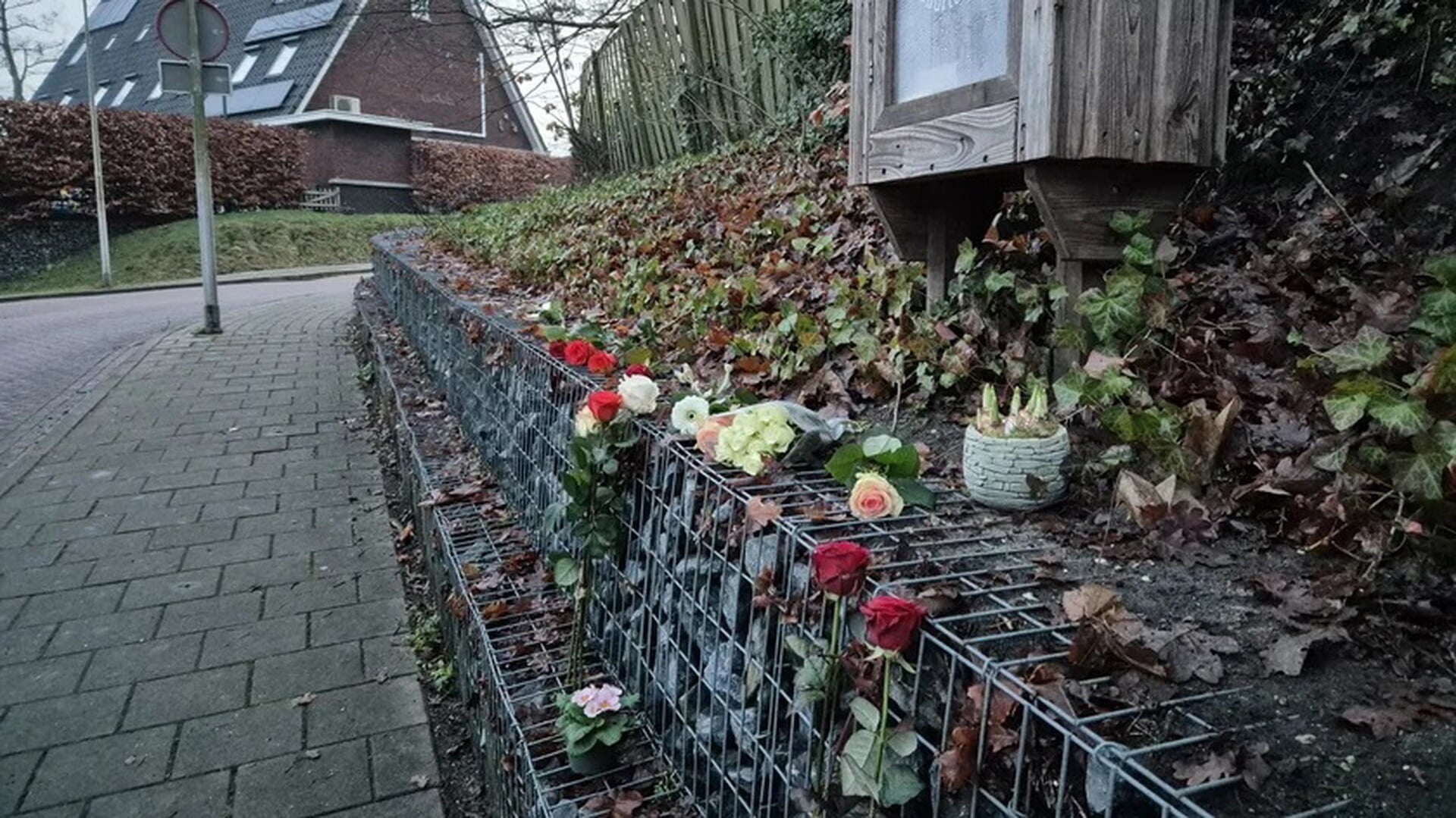 Fivoor moet forensische zorg snel verbeteren