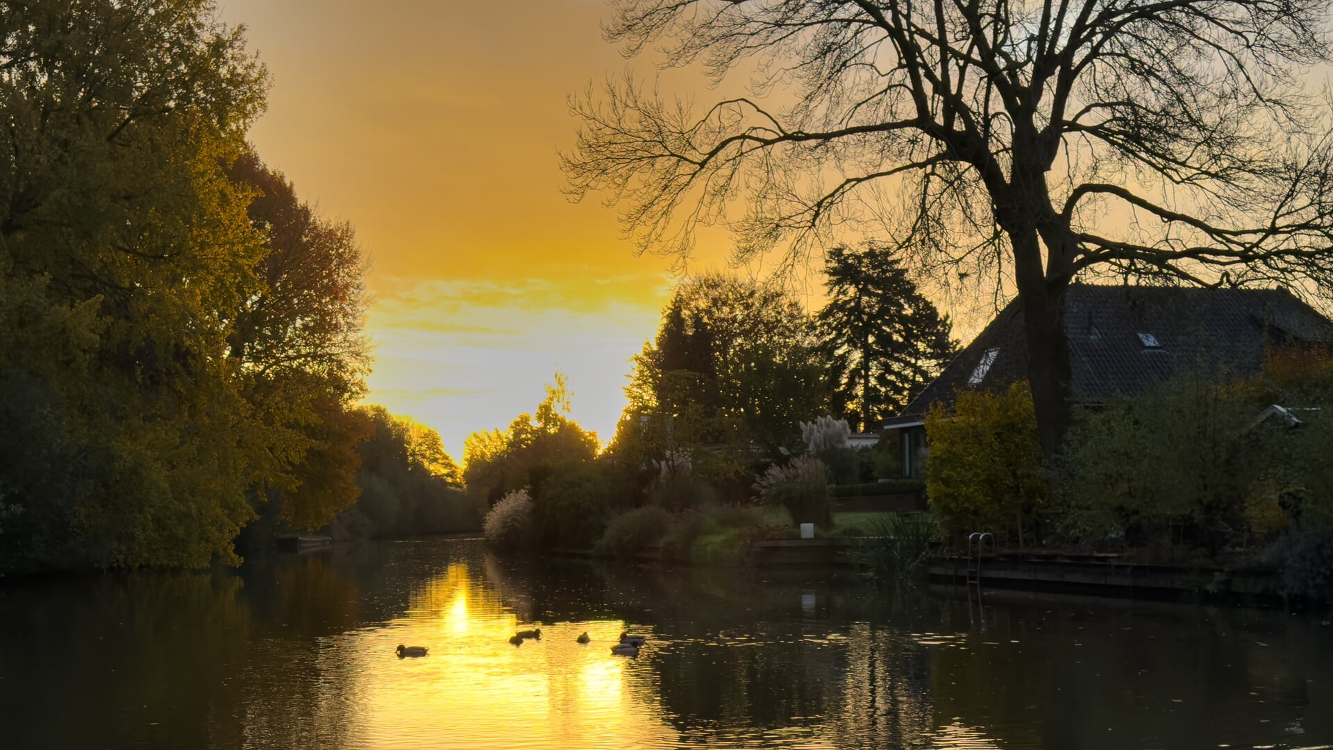 Prachtige zonsopgang vanochtend boven de Kromme Rijn