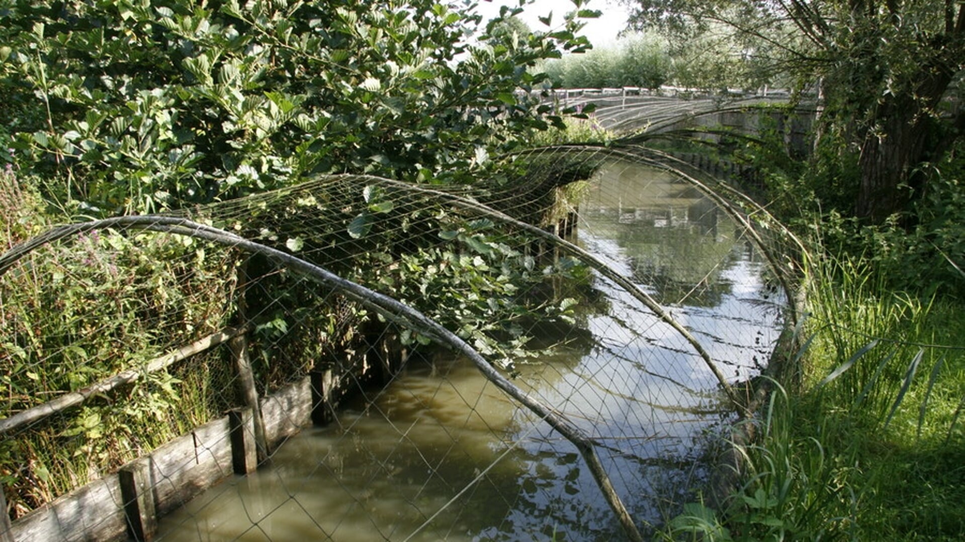 Lezing over eendenkooien in de West Betuwe