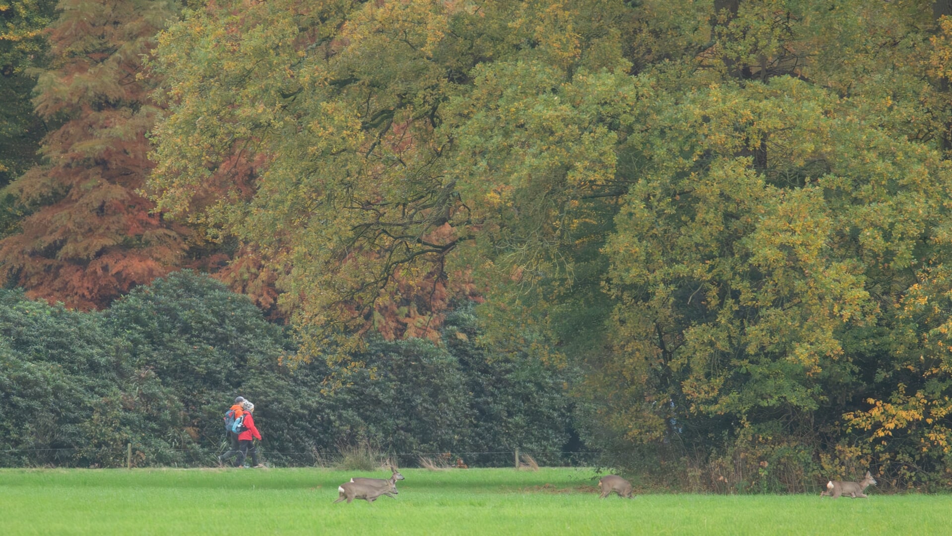 PvdA maakt bezwaar tegen fun-vluchten
