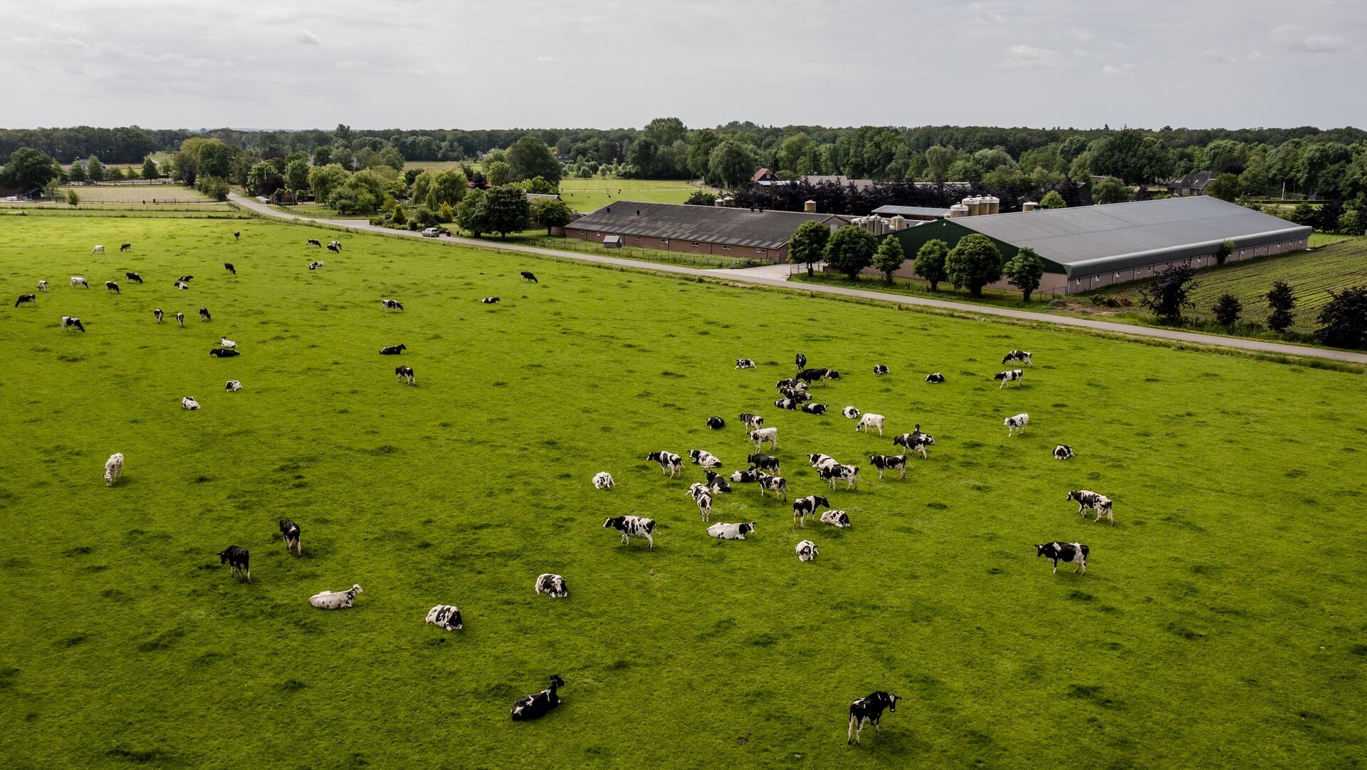 Gemeente Barneveld biedt boerengrond voor pacht aan bij agrariërs