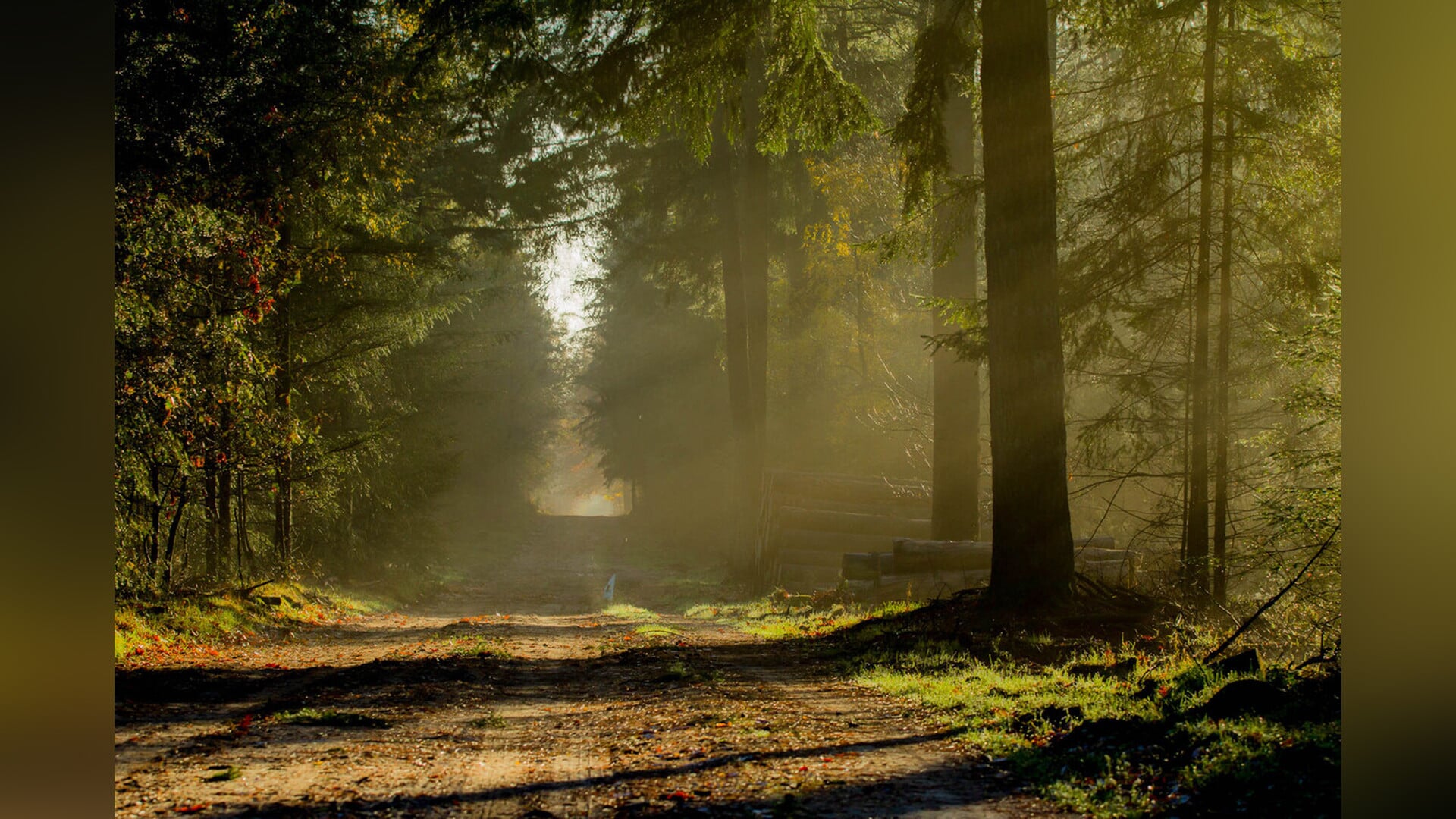 Stevige winterwandeling, landgoed De Dellen