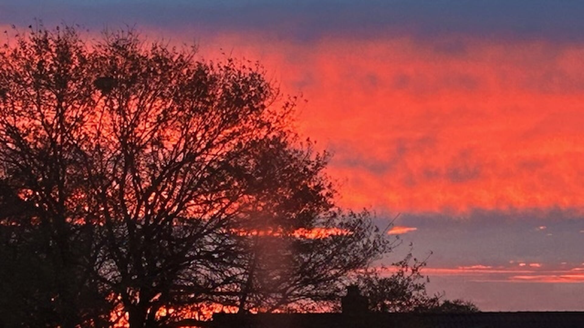 Lezersfoto’s: ingezonden plaatjes van de lokale natuur
