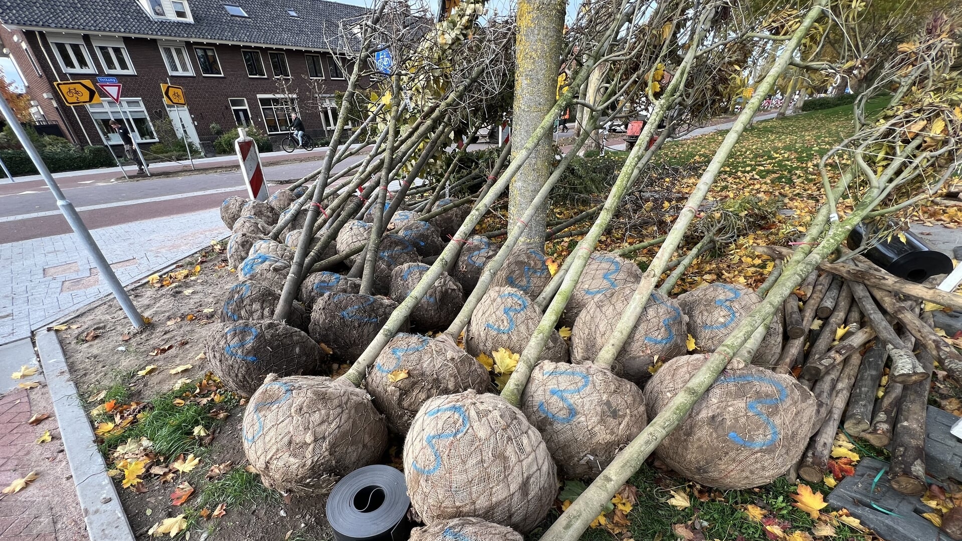 Plantanen voor oude Zuiderzeestraatweg