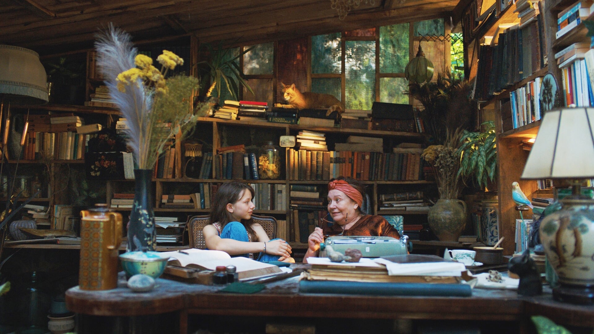 Uit-agenda Soest en Soesterberg: 7, 8 en 9 november