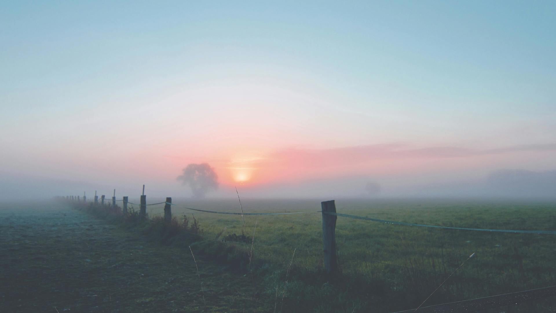 Weerbureau: zachte temperaturen en veel bewolking