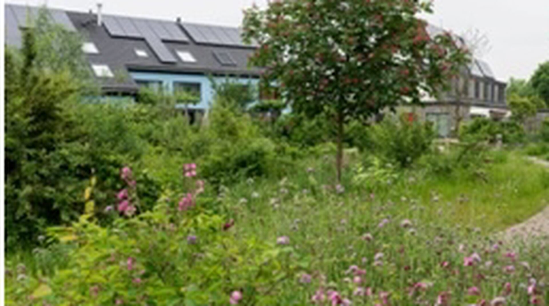 Verhalen, muziek en praktische zaken: tips voor het weekend van 8 en 9 november in Houten en omgevin