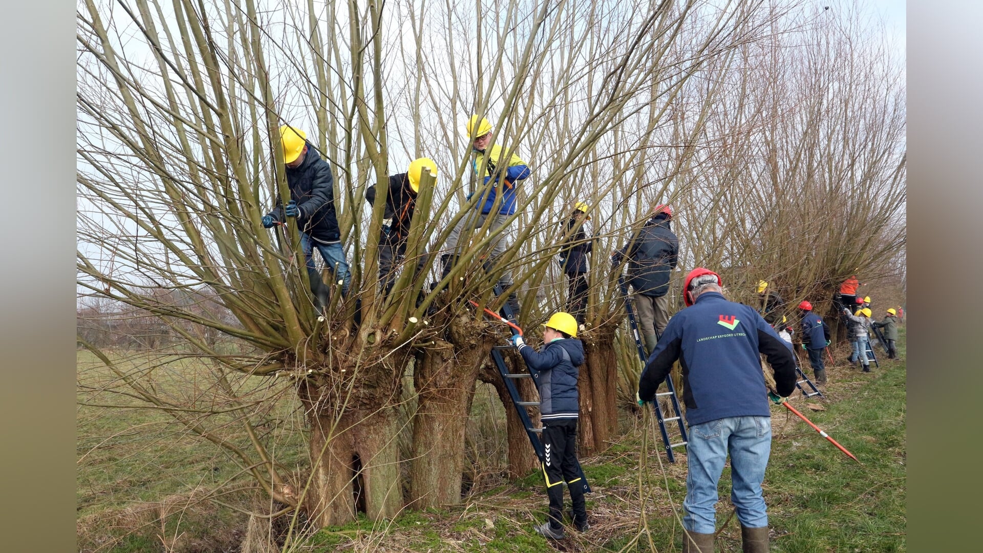 Knotgroep Woudenberg uit zijn zomerslaap