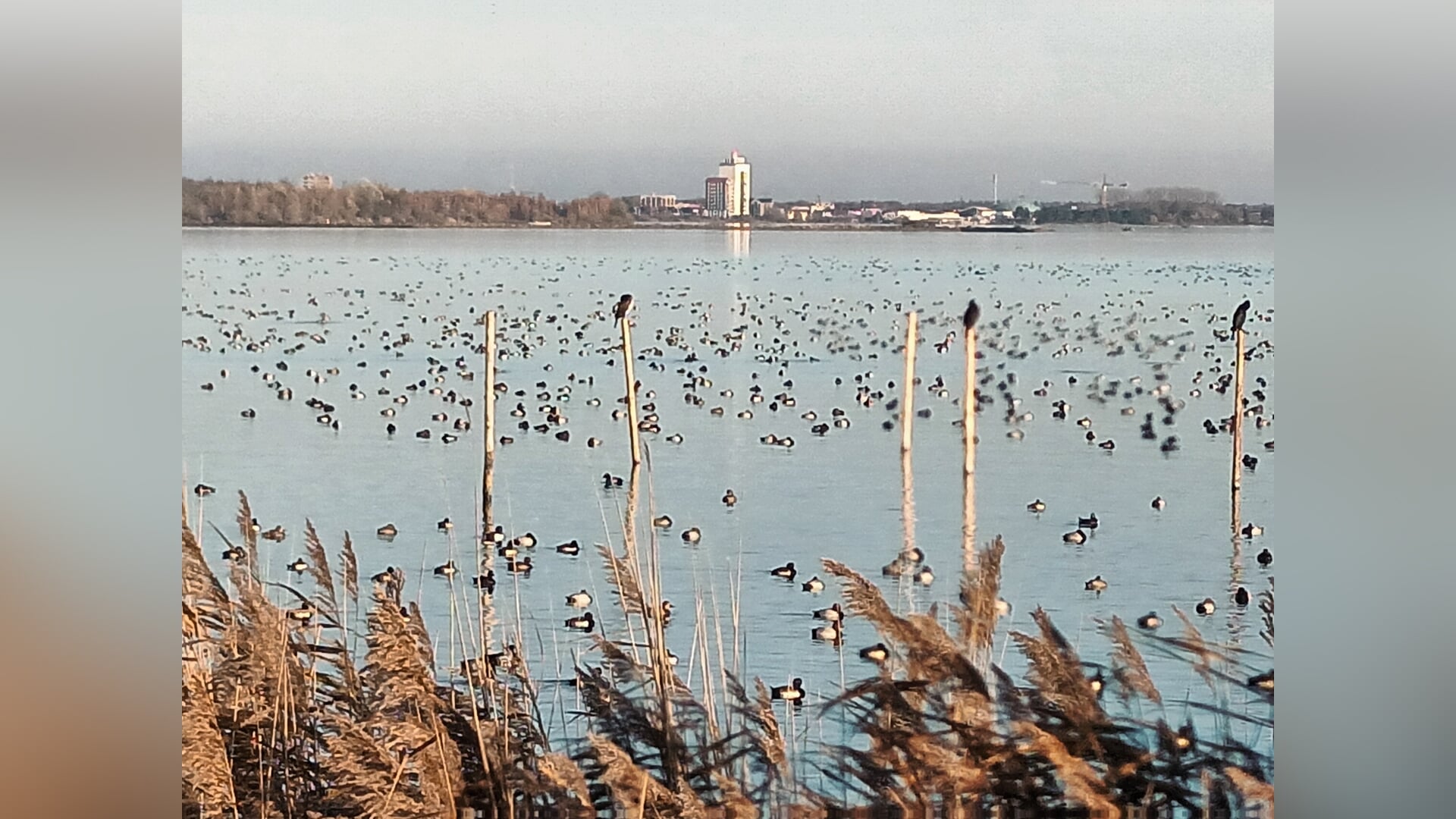 Mooi weer en n mooie foto Harderwijk en Ermelo vanaf de overkant WolderwijdTijdens fietstocht t omme