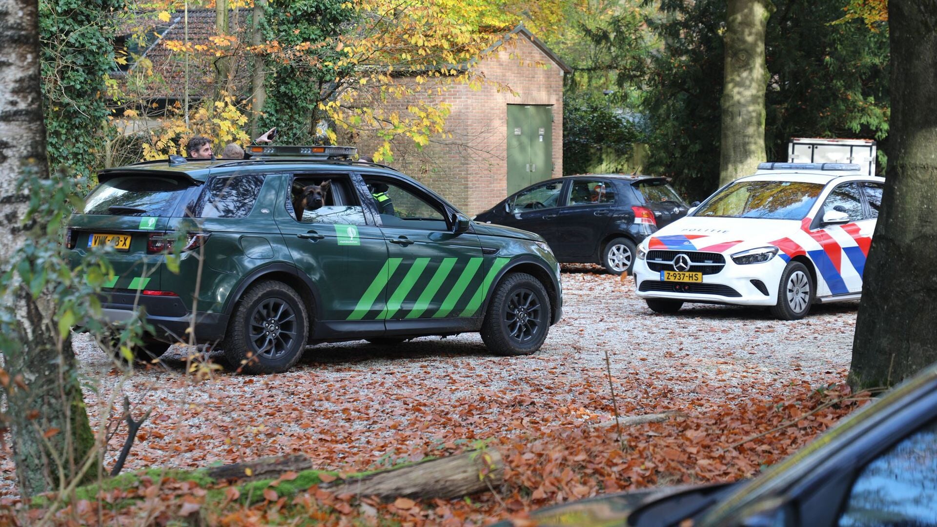 Grote zoekactie naar vermiste jongen (9) in bos eindigt met hereniging in Lunteren