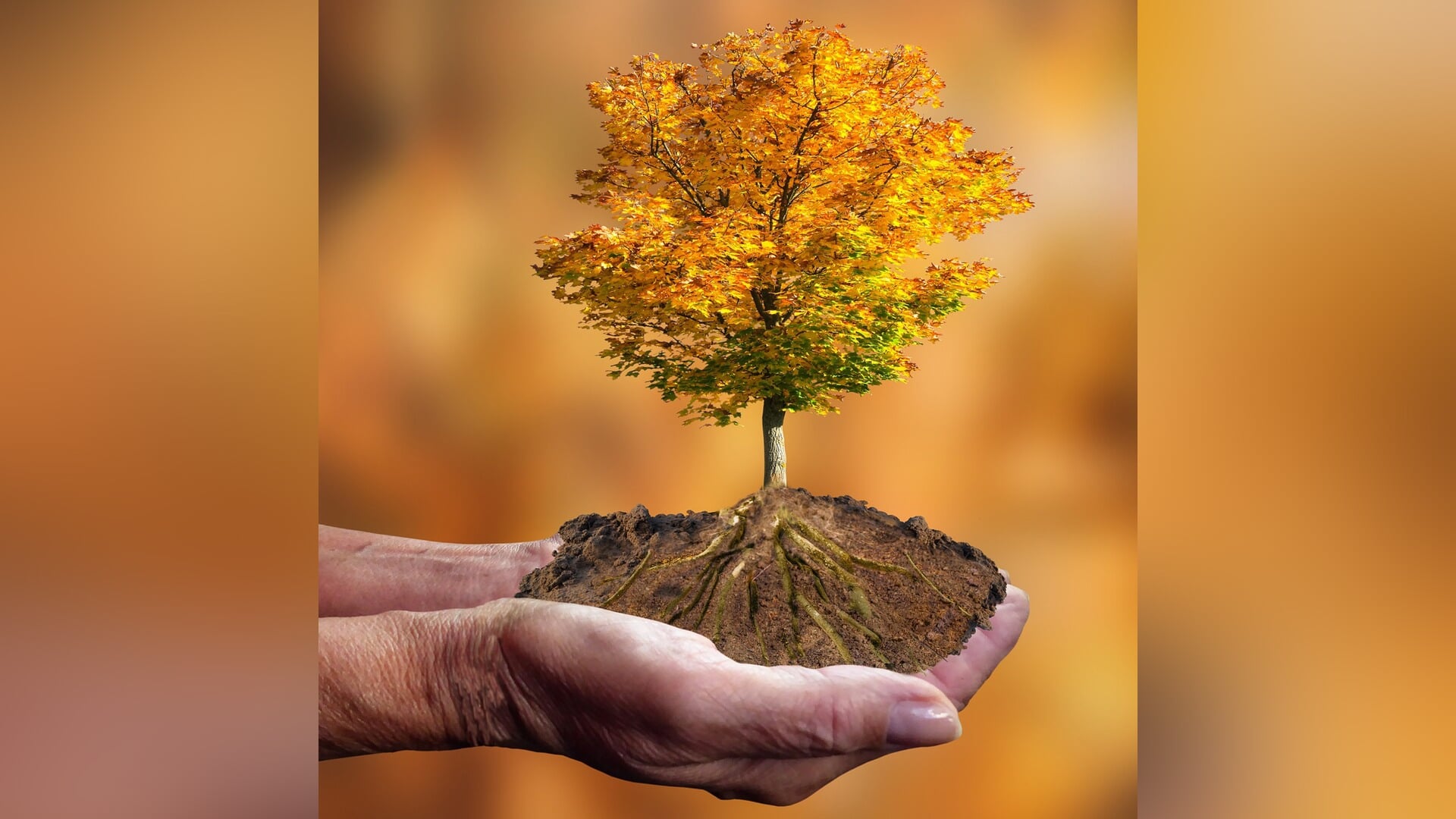 Heuvelrugs duo zet zich deze week in als Klimaatburgemeester Utrechtse Heuvelrug