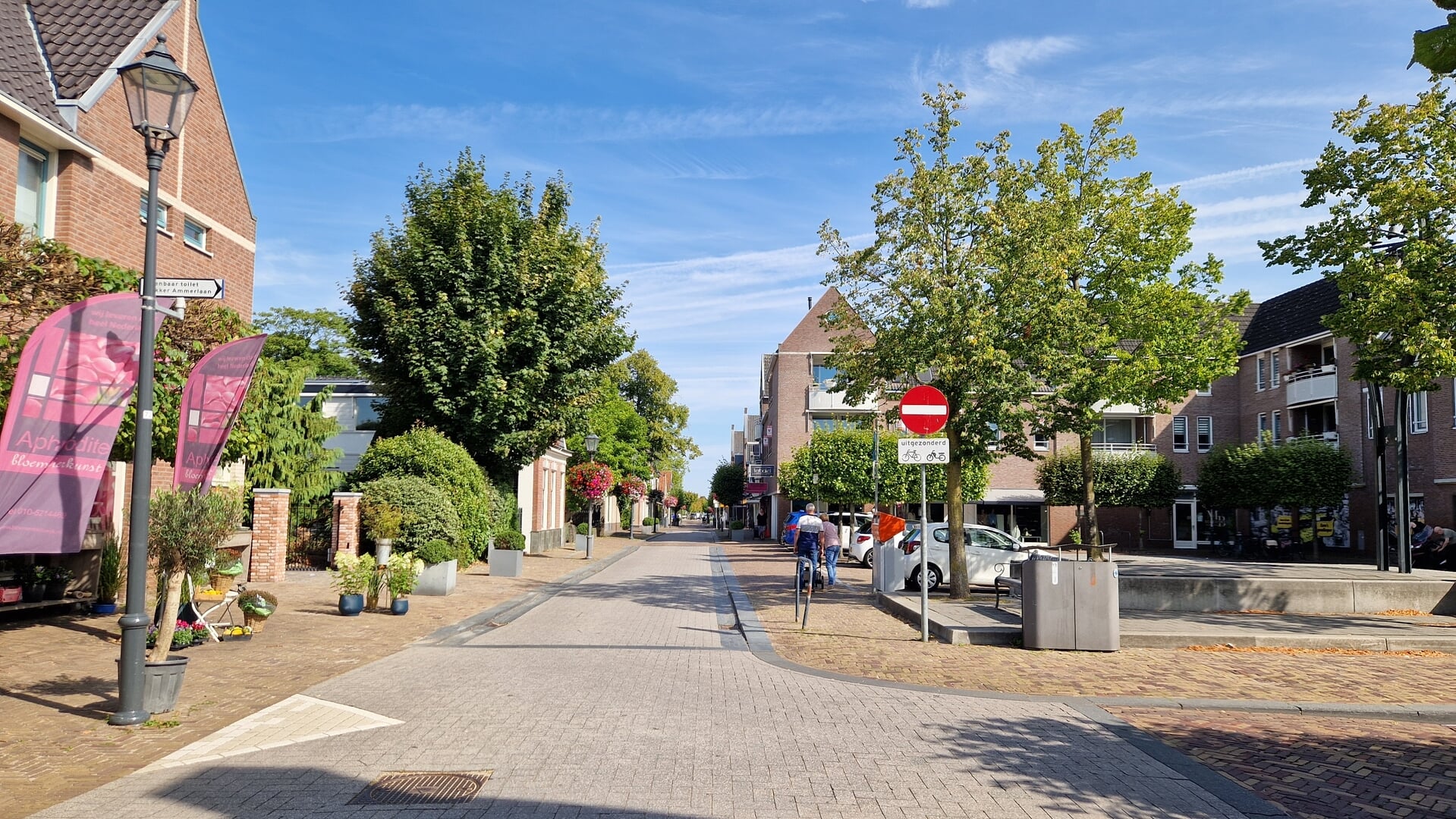 Bleiswijk Beleeft: een bruisende dag vol activiteiten in het dorpscentrum