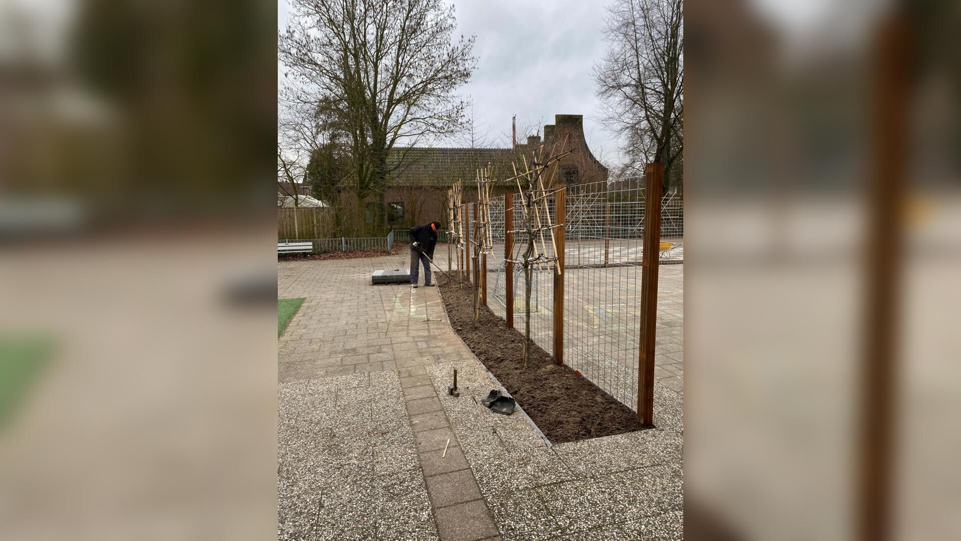 Vergroening Plein OBS de Horn gerealiseerd