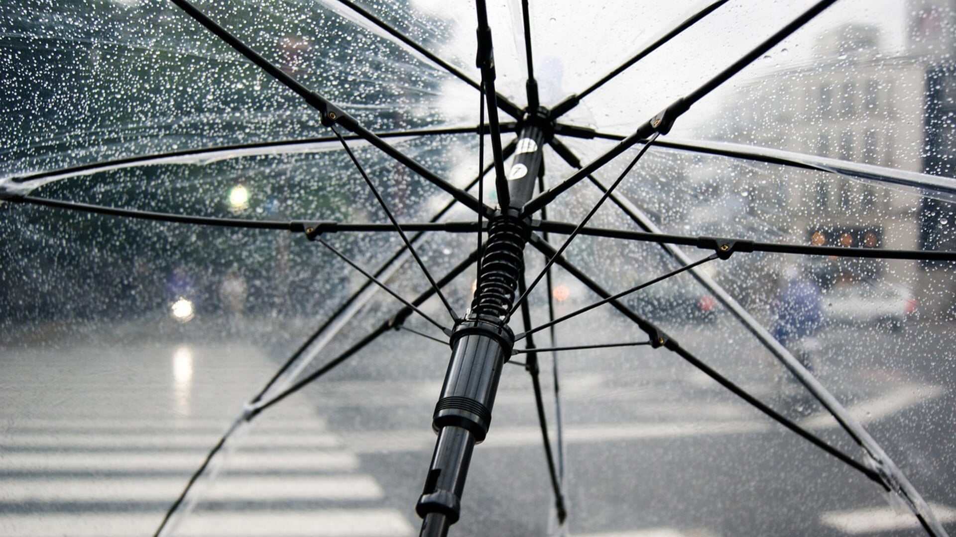 Weekverwachting: Na rustige periode met zon en mist volgt later regen en meer wind