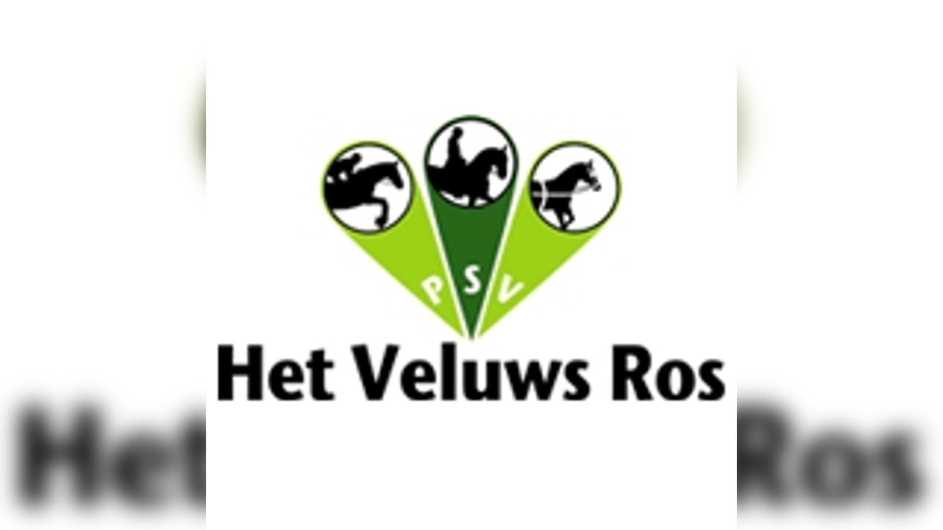 Dressuurwedstrijd Ermelo 2026
