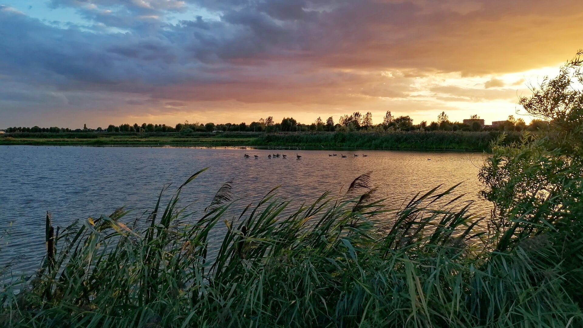 Avondwandeling in de Groenzoom
