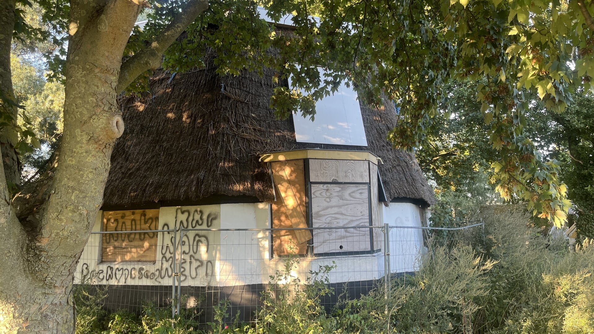 Monumentale molenstomp aan Spiegeldijk?
