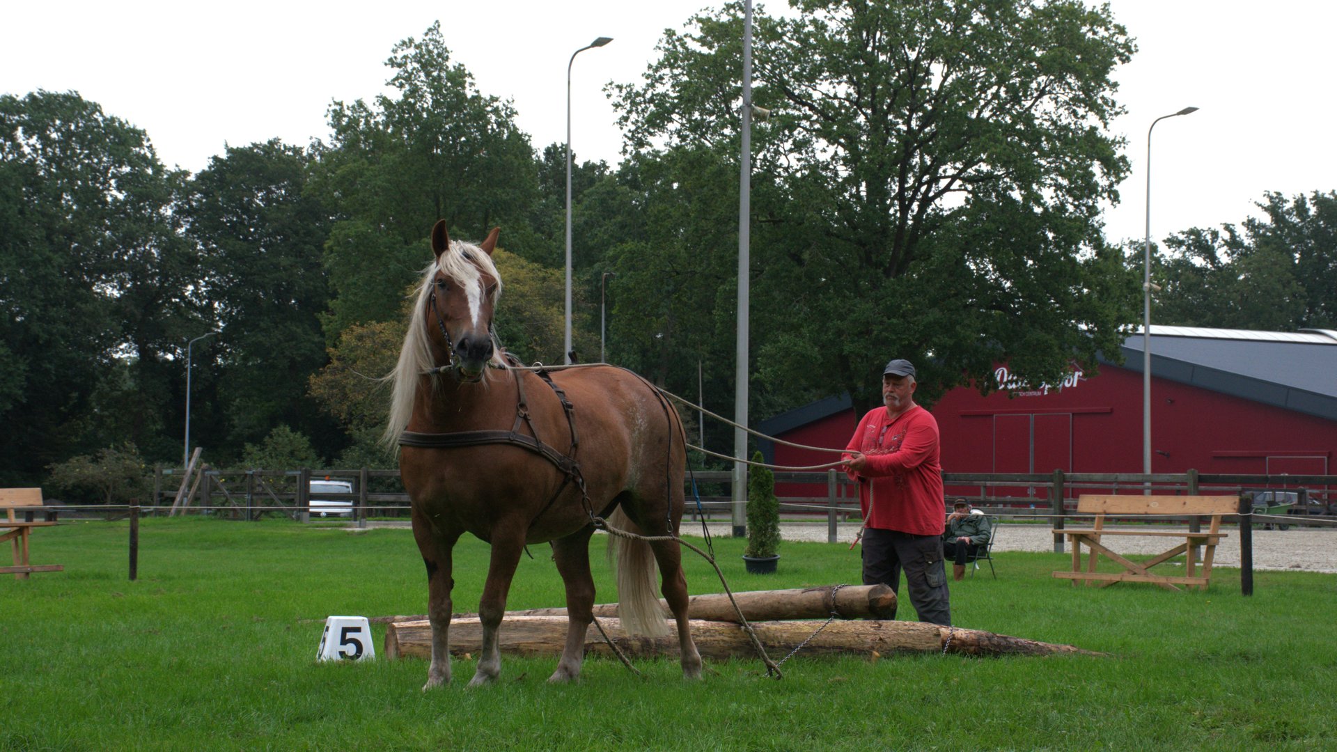Thomas van der Ploeg wint boomsleepwedstrijd in Hellendoorn