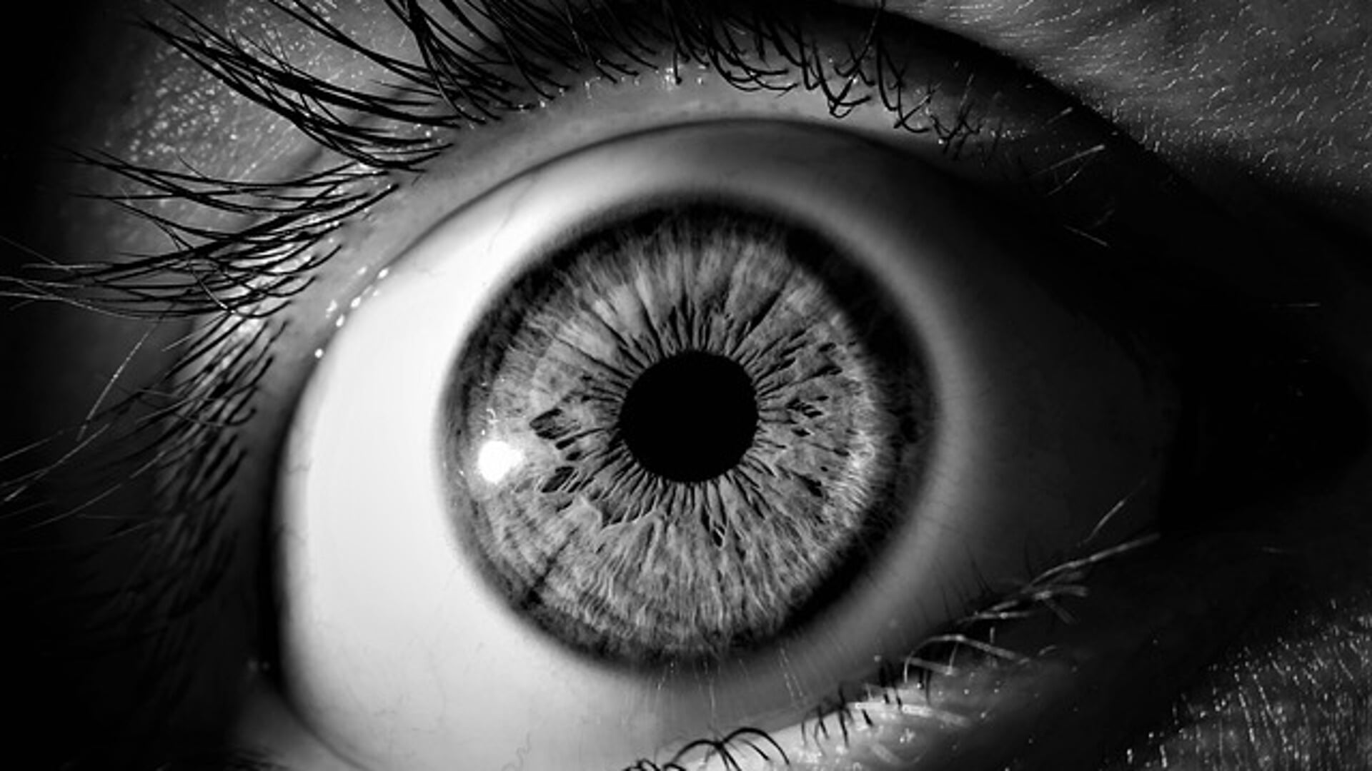 “Oog voor het Oog” lezing door oogarts