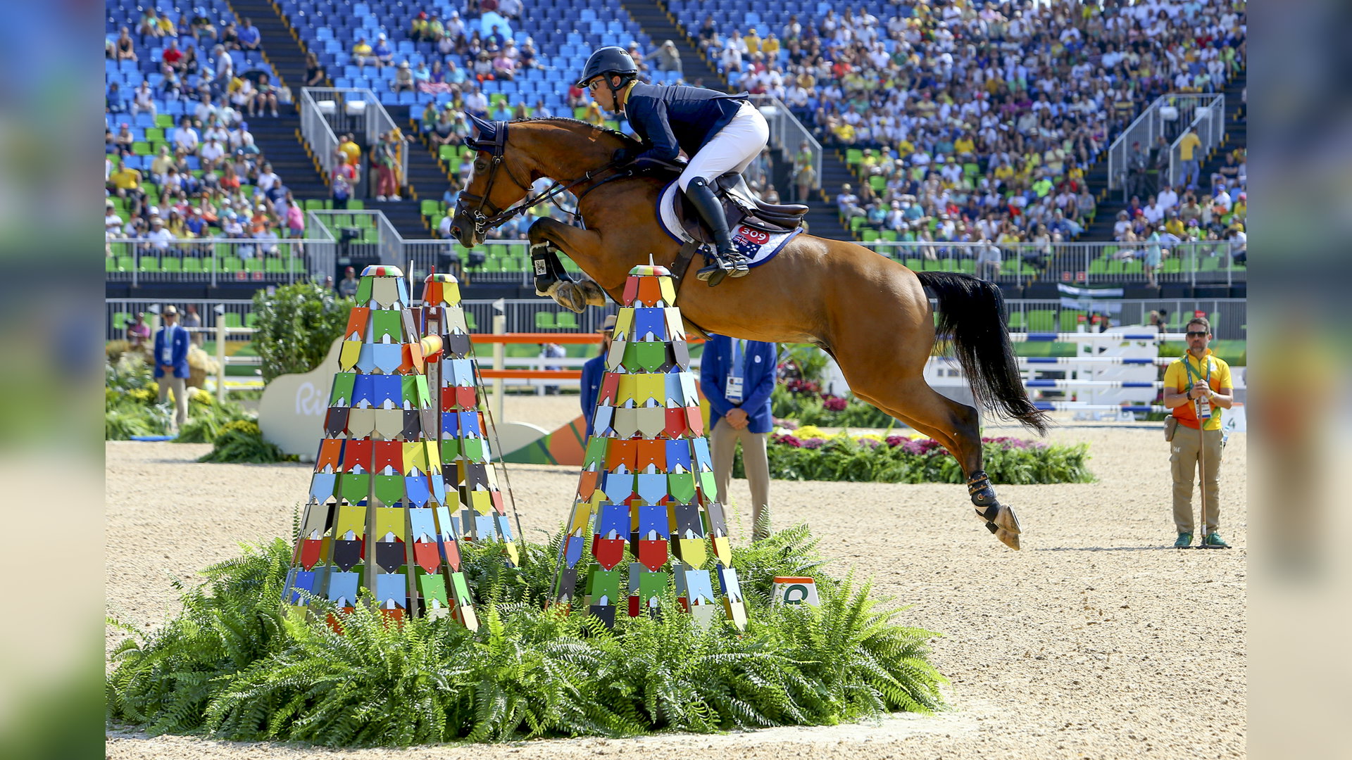 Paardenman Herman van der Scheer (80) overleden - Het onafhankelijke ...