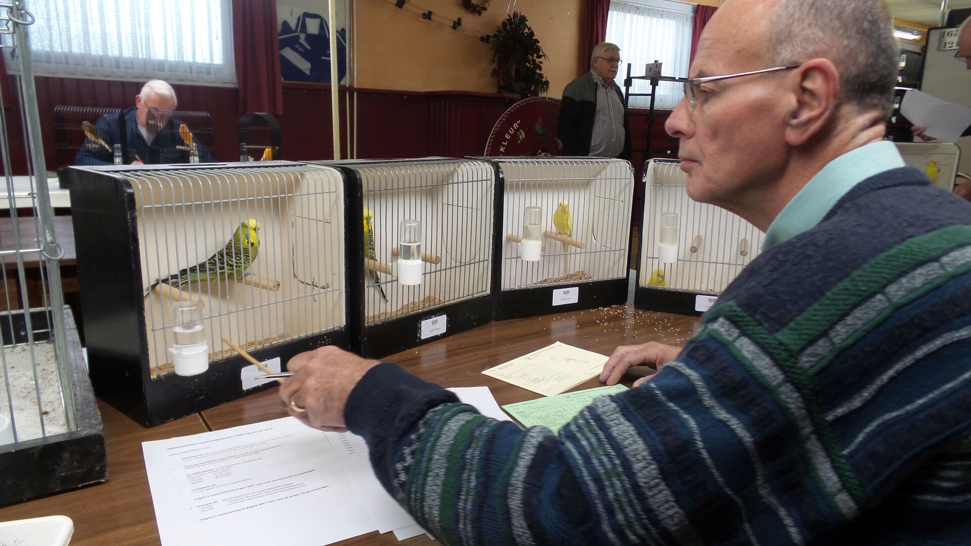 Vogelshow in Cafe-zaal “De Kastanje” te Kloosterzande