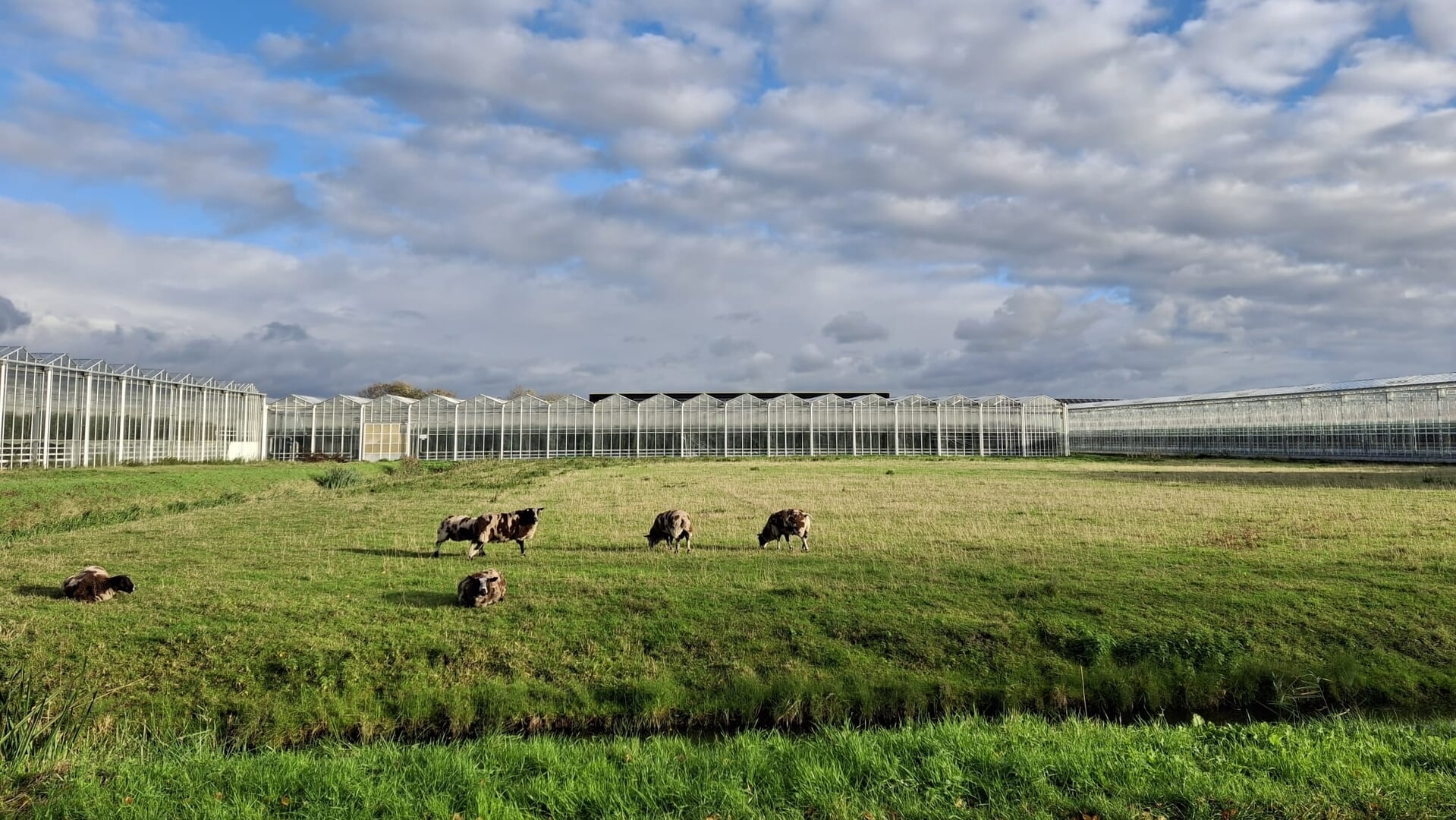 Bewoners luiden de noodklok over transformatiegebieden