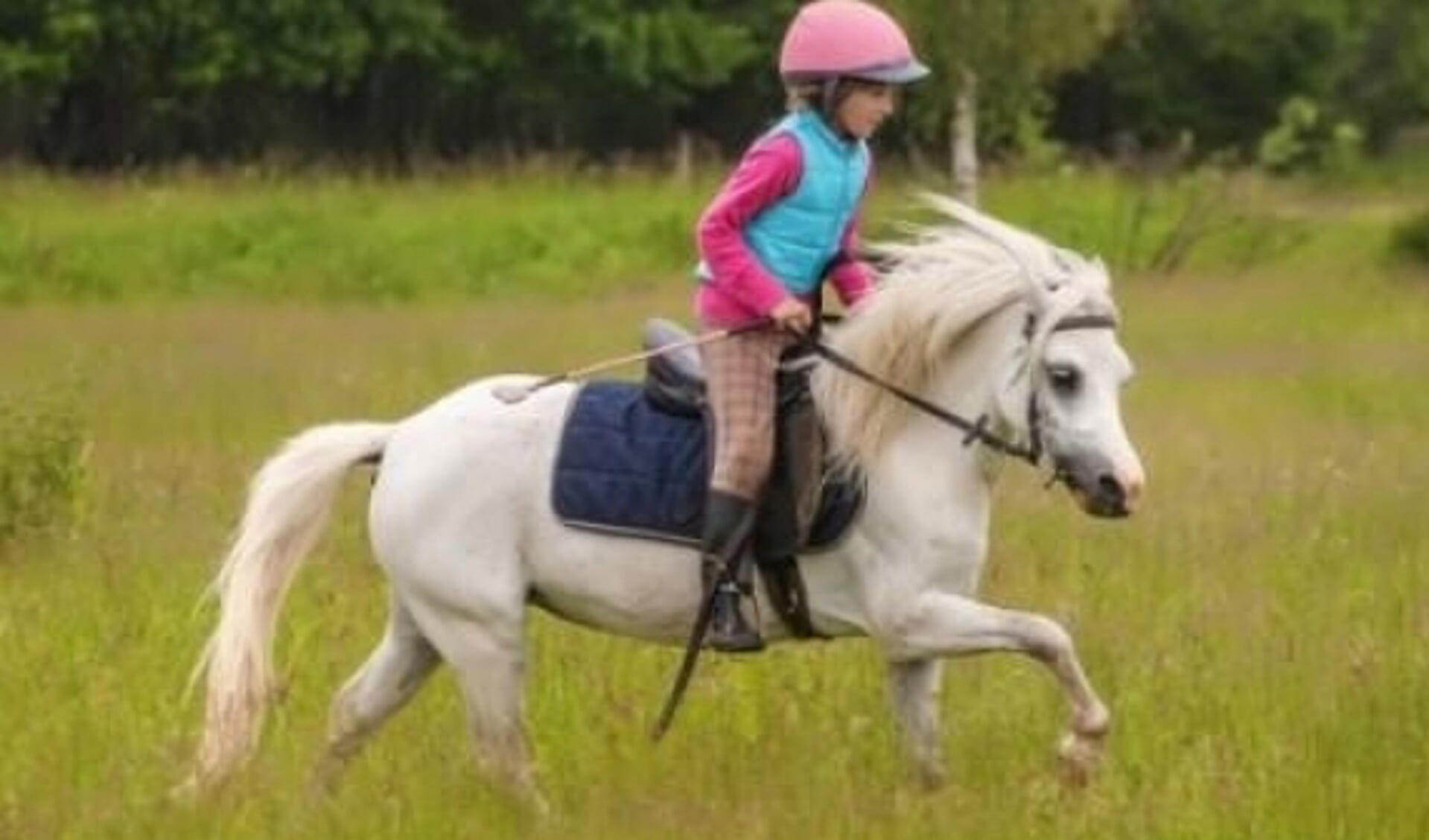 Paardrijden Goed Voor Kinderen? Jazeker! - Het Onafhankelijke Paarden ...