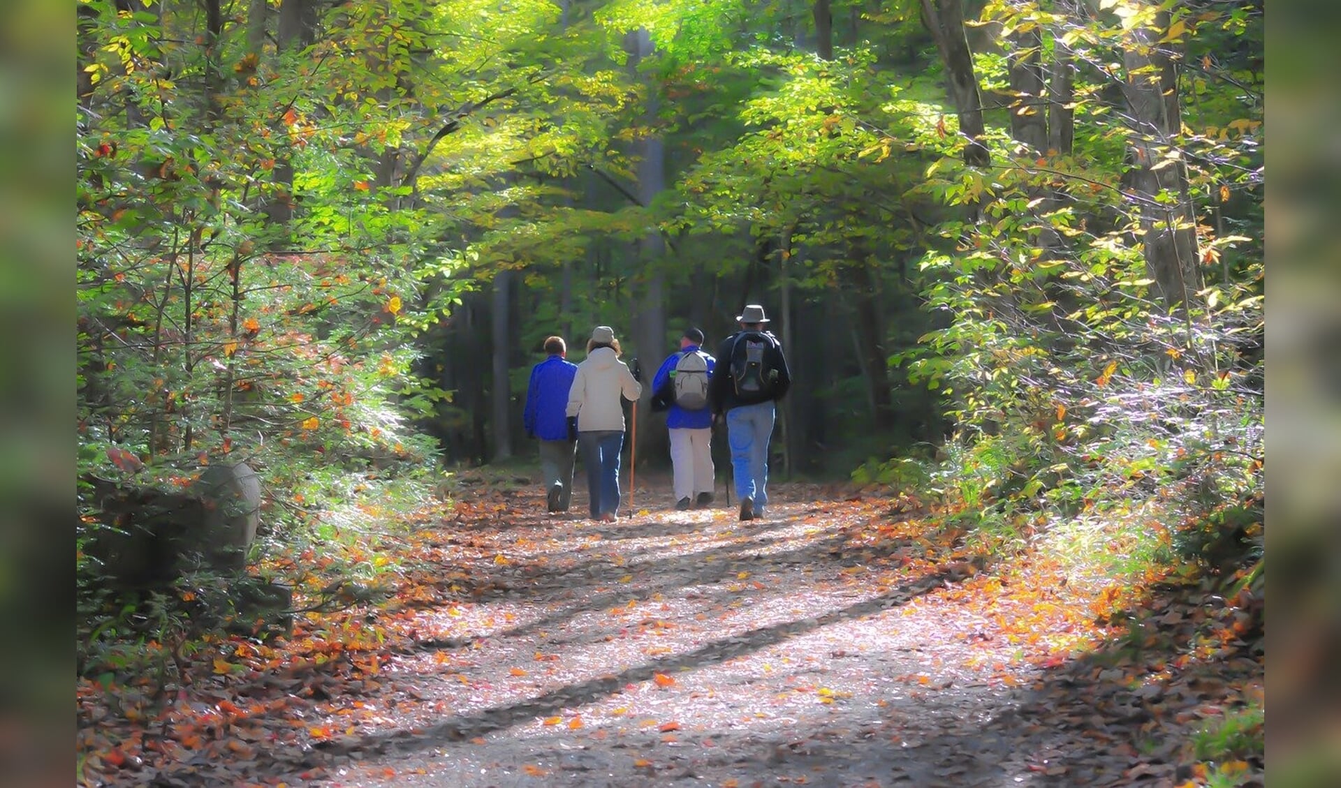 Samen wandelen vanuit Steenwijkerwold