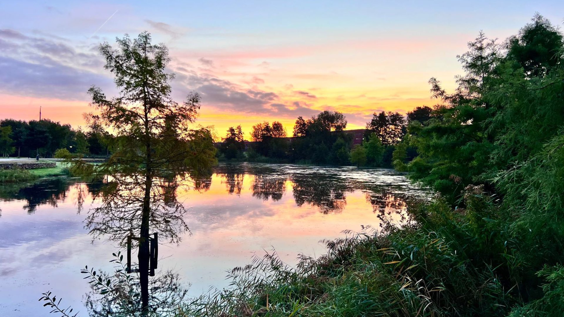 Lezersfoto--zonsopkomst-in-het-Crescentpark