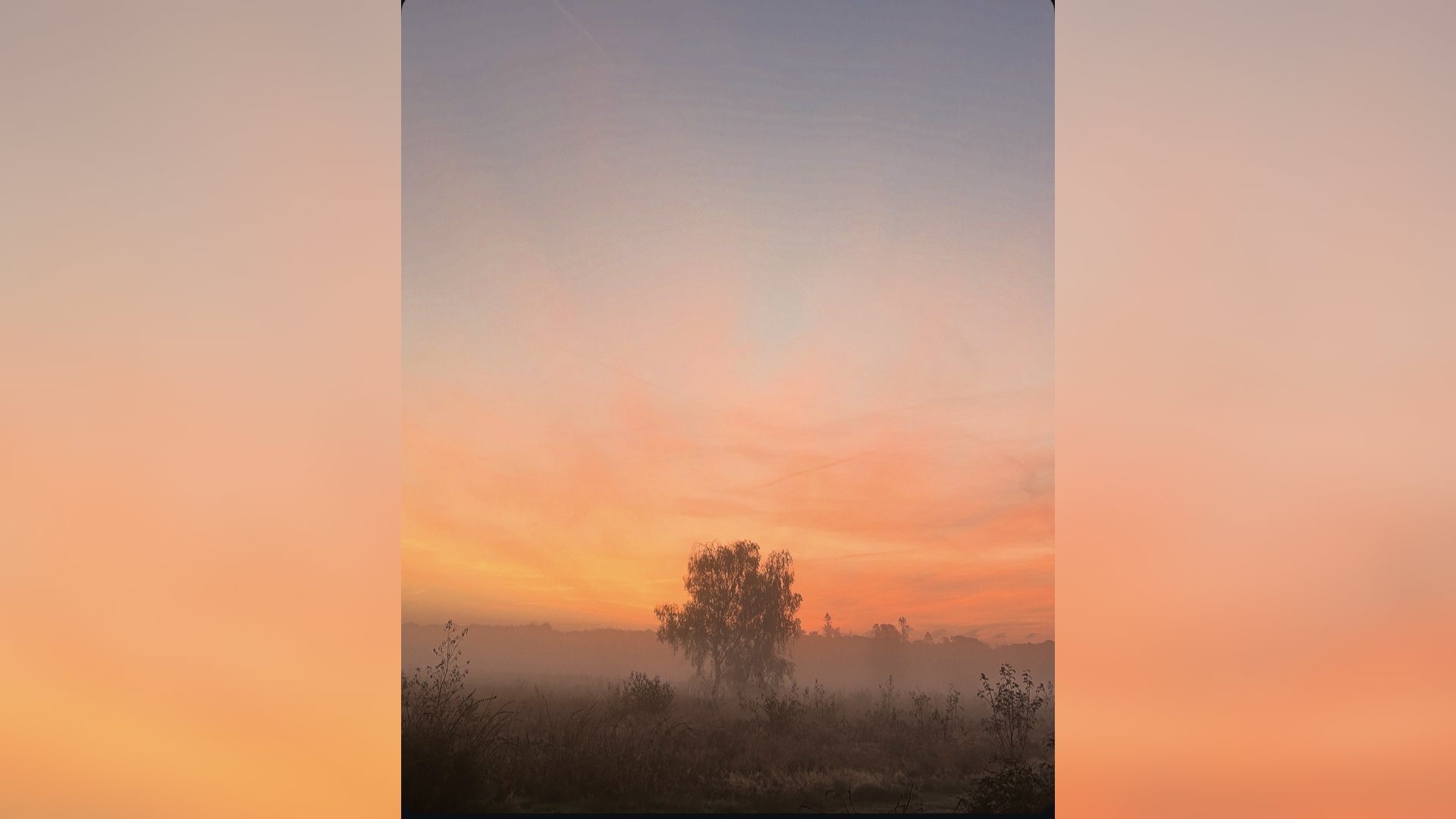Lezersfoto--prachtige-zonsopkomst-op-de-heide-tussen-Ermelo-en-Putten
