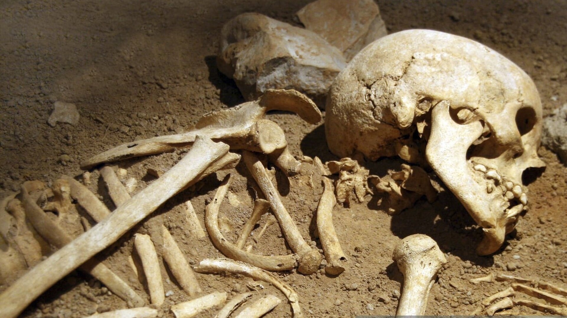 Skeletten opgegraven bij kerk Vogelwaarde