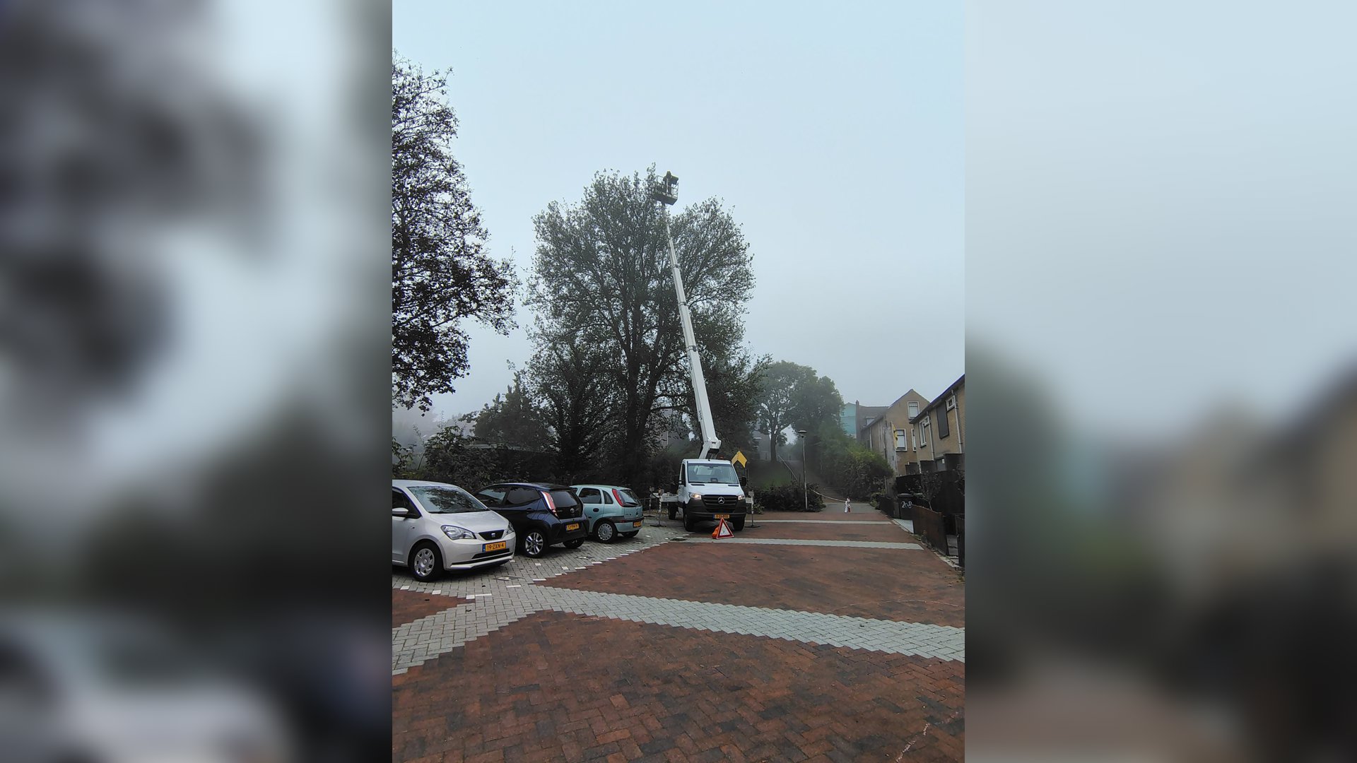 Verwijdering nesten geelpoothoornaar in Sliedrecht