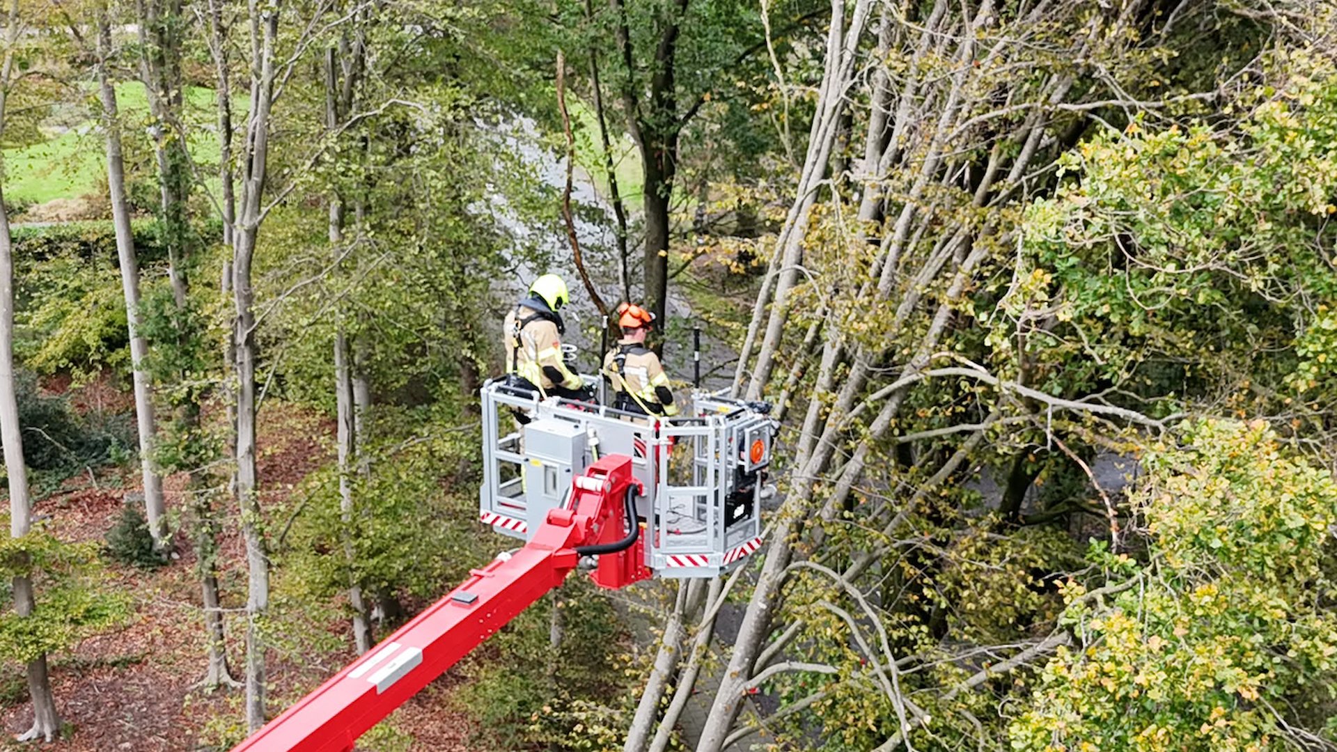 Brandweer Voorthuizen druk met omgewaaide boom