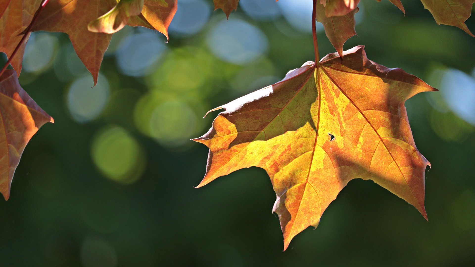 Na stormachtig weekend overgang naar droog en rustig herfstweer