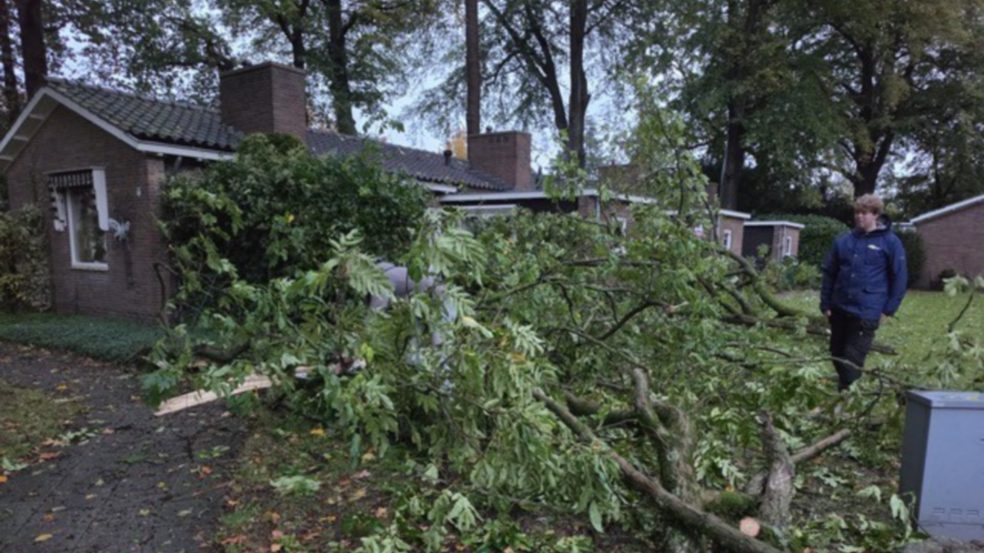 Stormschade op Ericapark in Bennekom