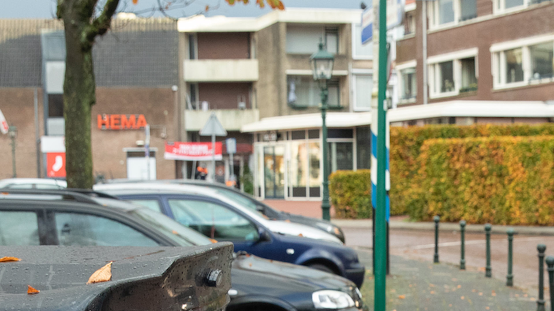 Baarn haalt 850 paaltjes weg: slechts vier teruggeplaatst