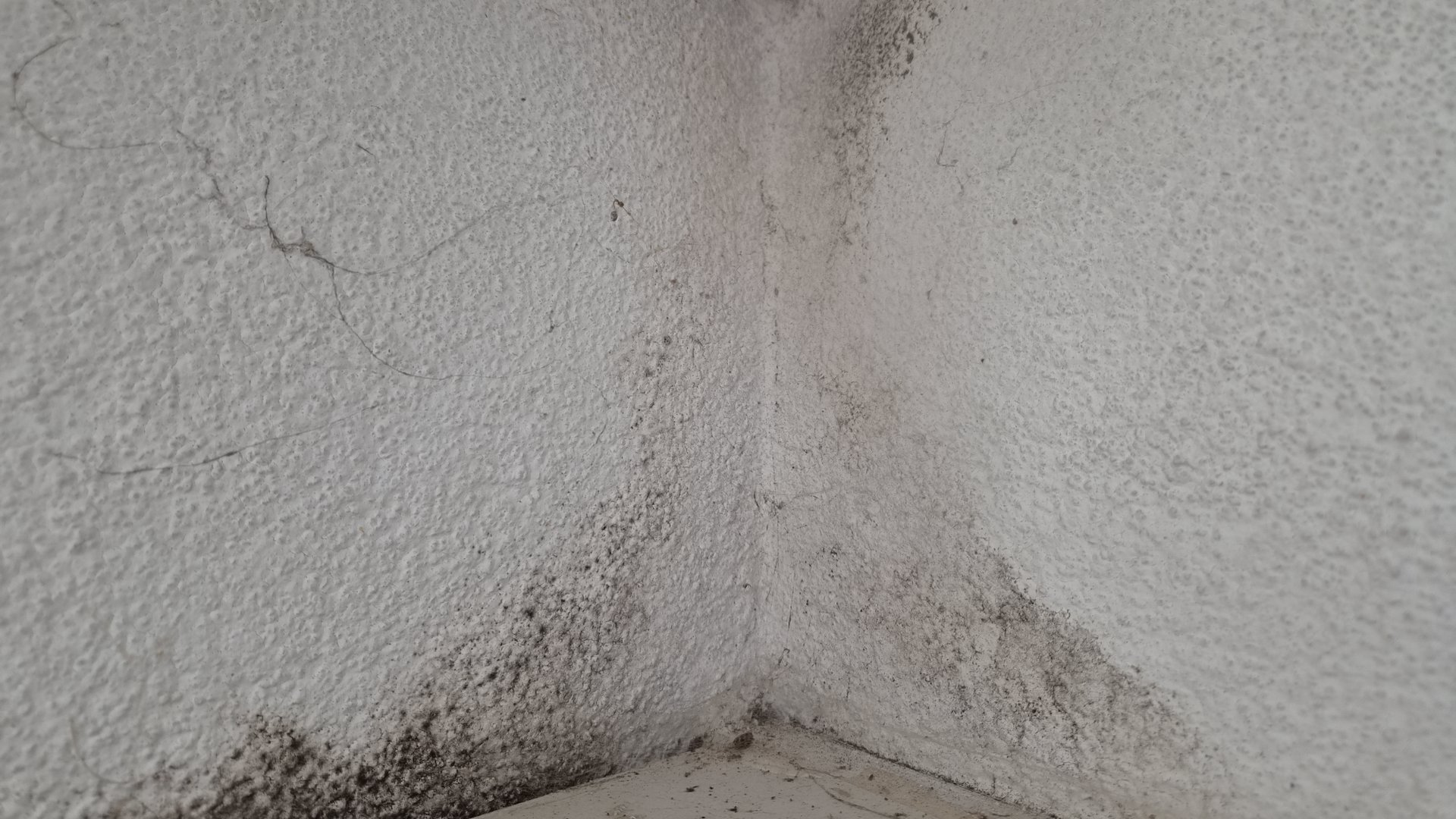 Poort6 en HP6 praten met huurders over vocht en schimmel in huis