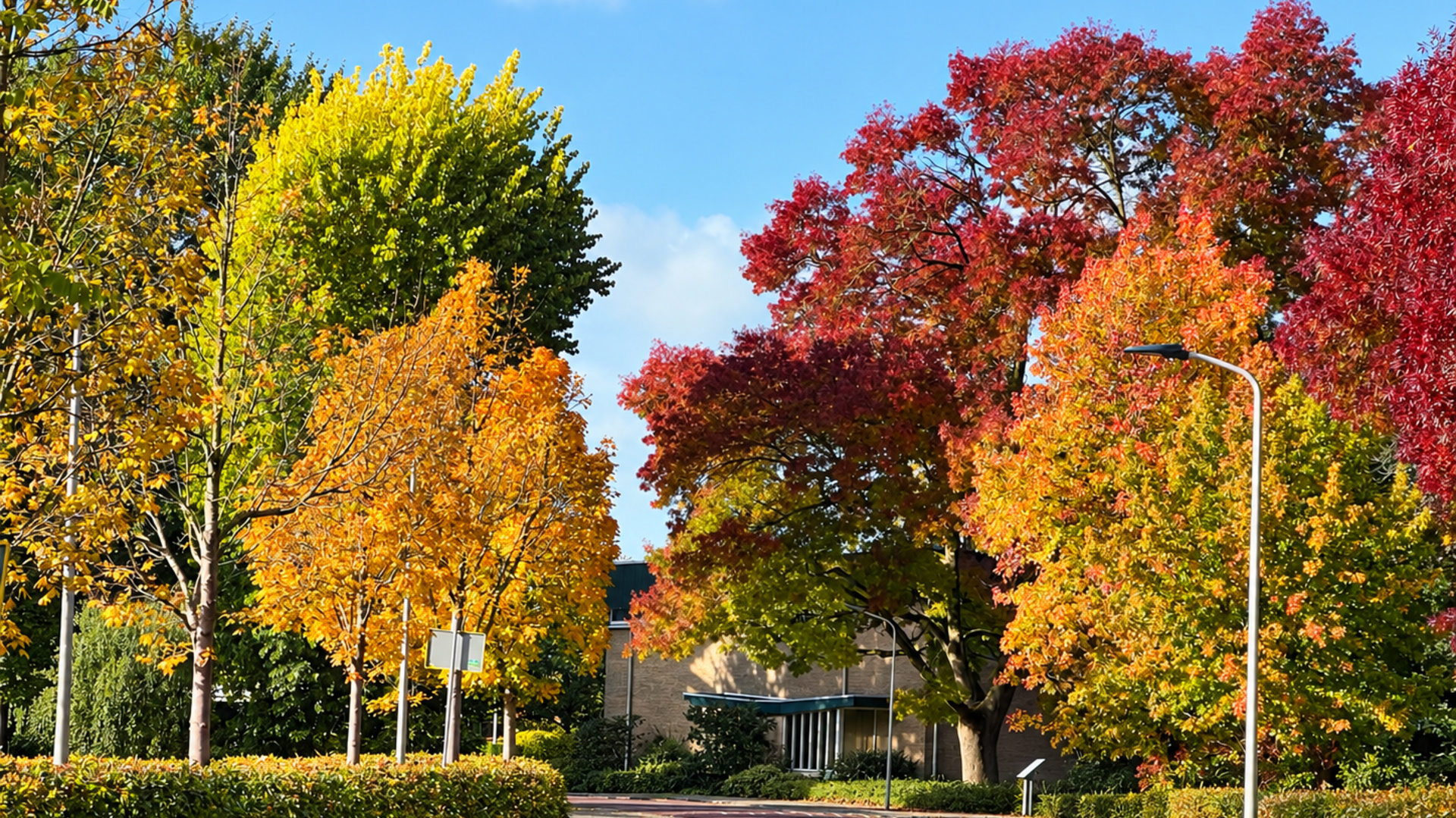 Mooie herfstkleuren in de Wijnkoperstraat in Gorinchem