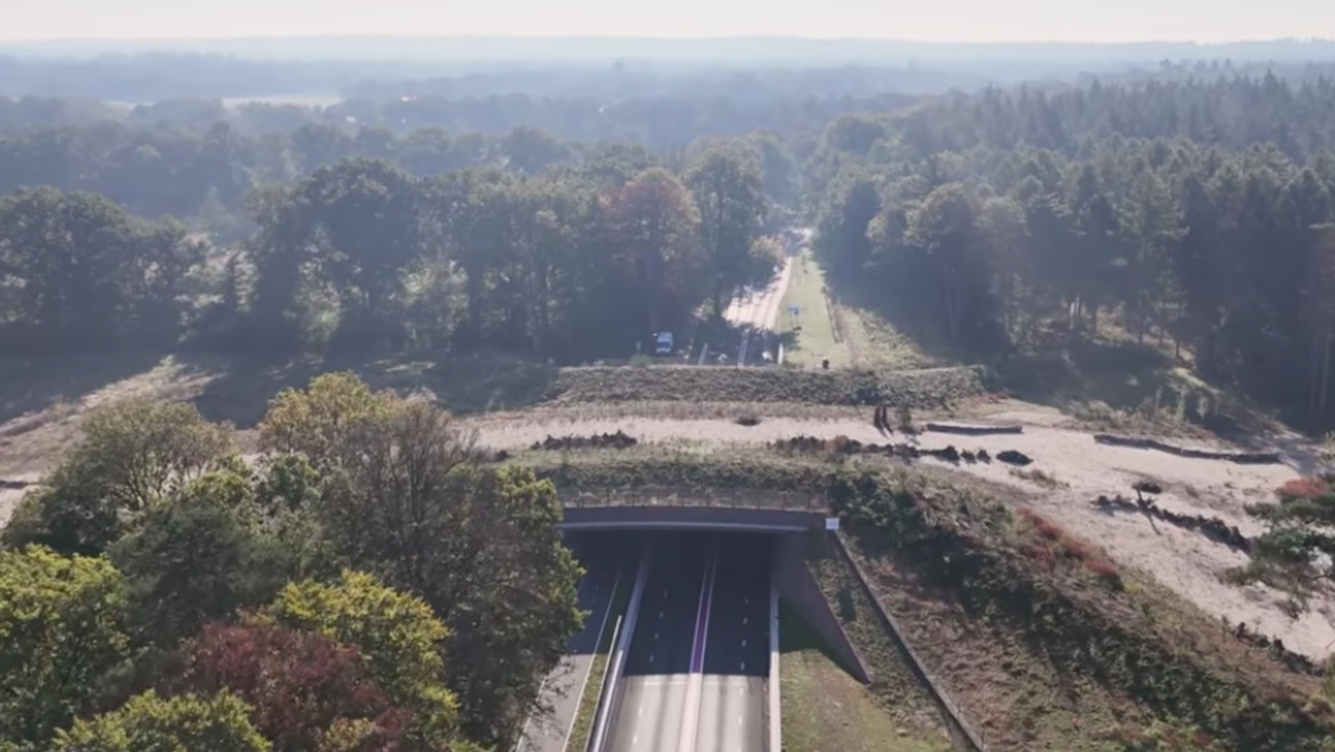 35 hectare nieuwe natuurverbinding op de Utrechtse Heuvelrug