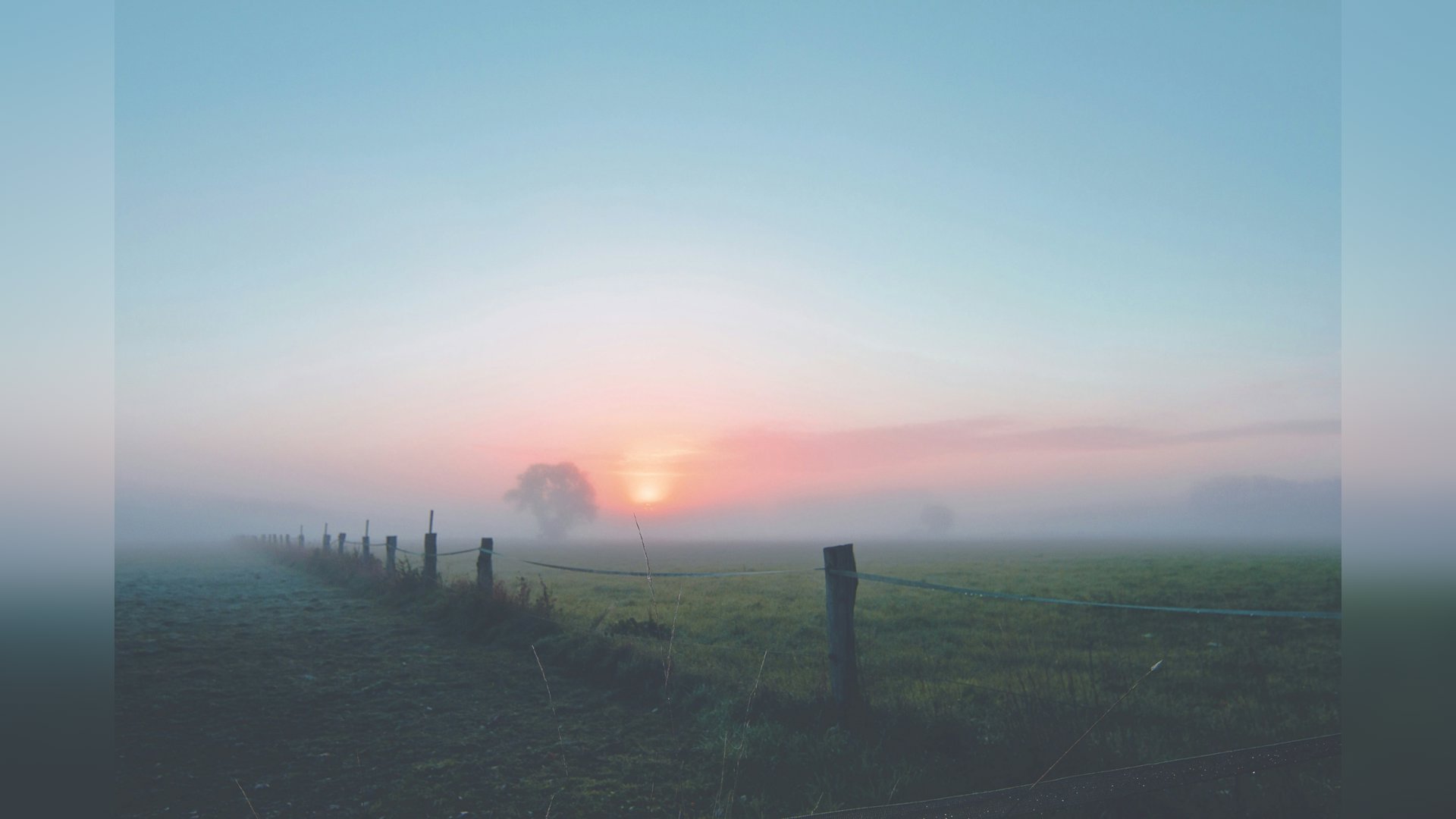 Code geel in het hele land vanwege dichte mist