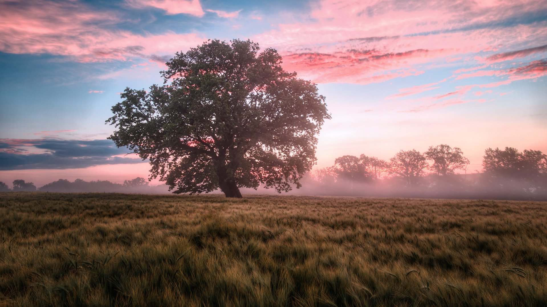 Dit weekend veel bewolking en soms mist