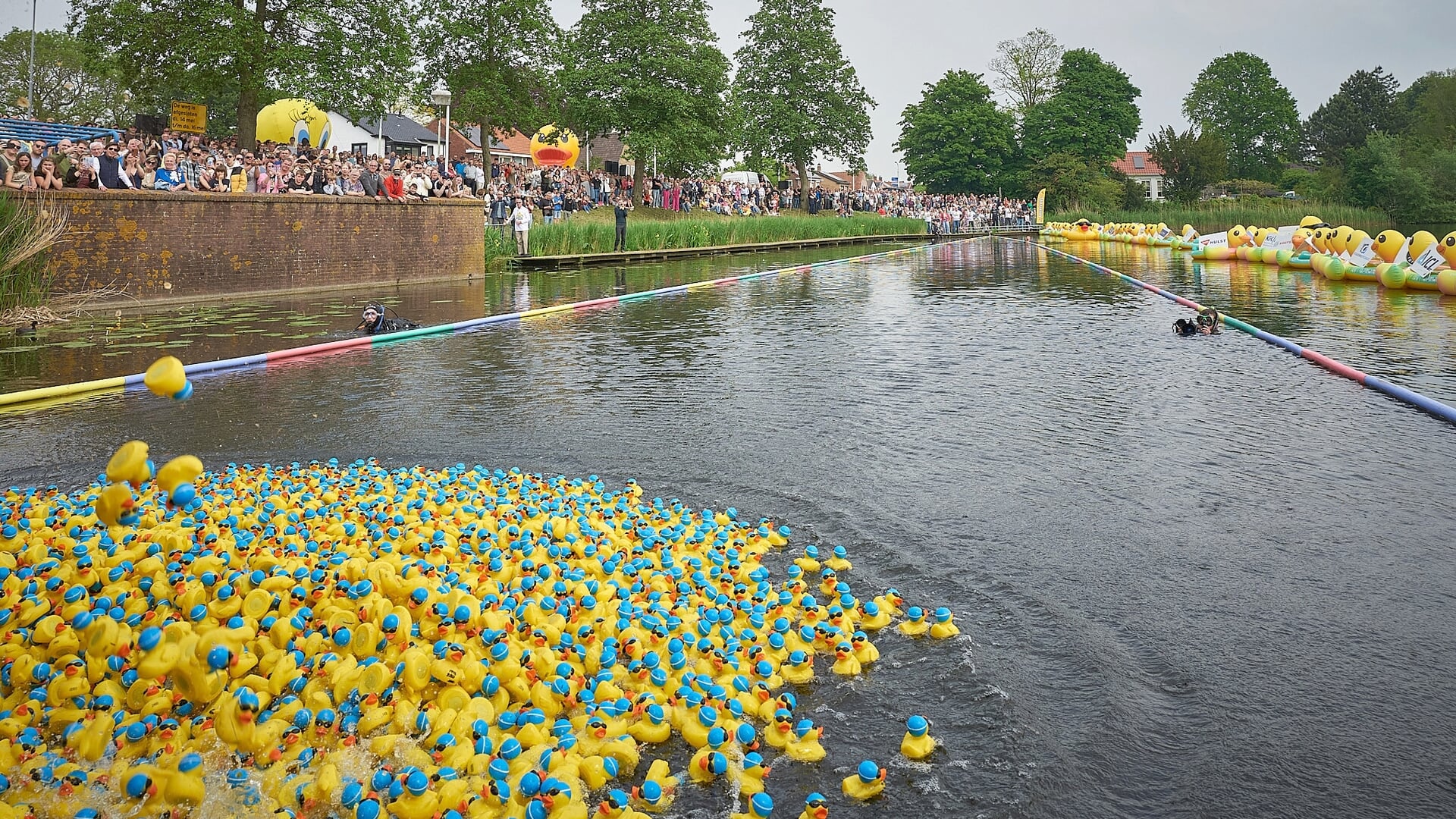Kleurrijke Badeendrace in Axel voor het Goede Doel: Hospice Zeeuws-Vlaanderen