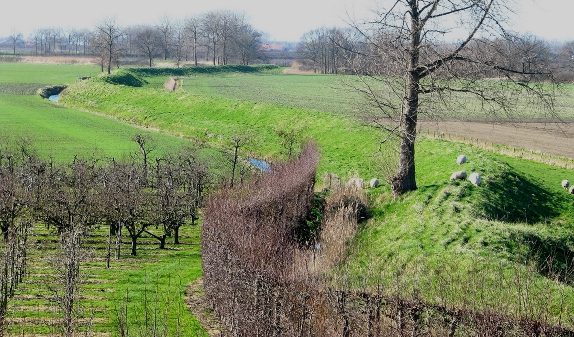 Wandelpad ‘Sporen in de Zak’ legt geheimen bloot - Al het nieuws uit Beveland