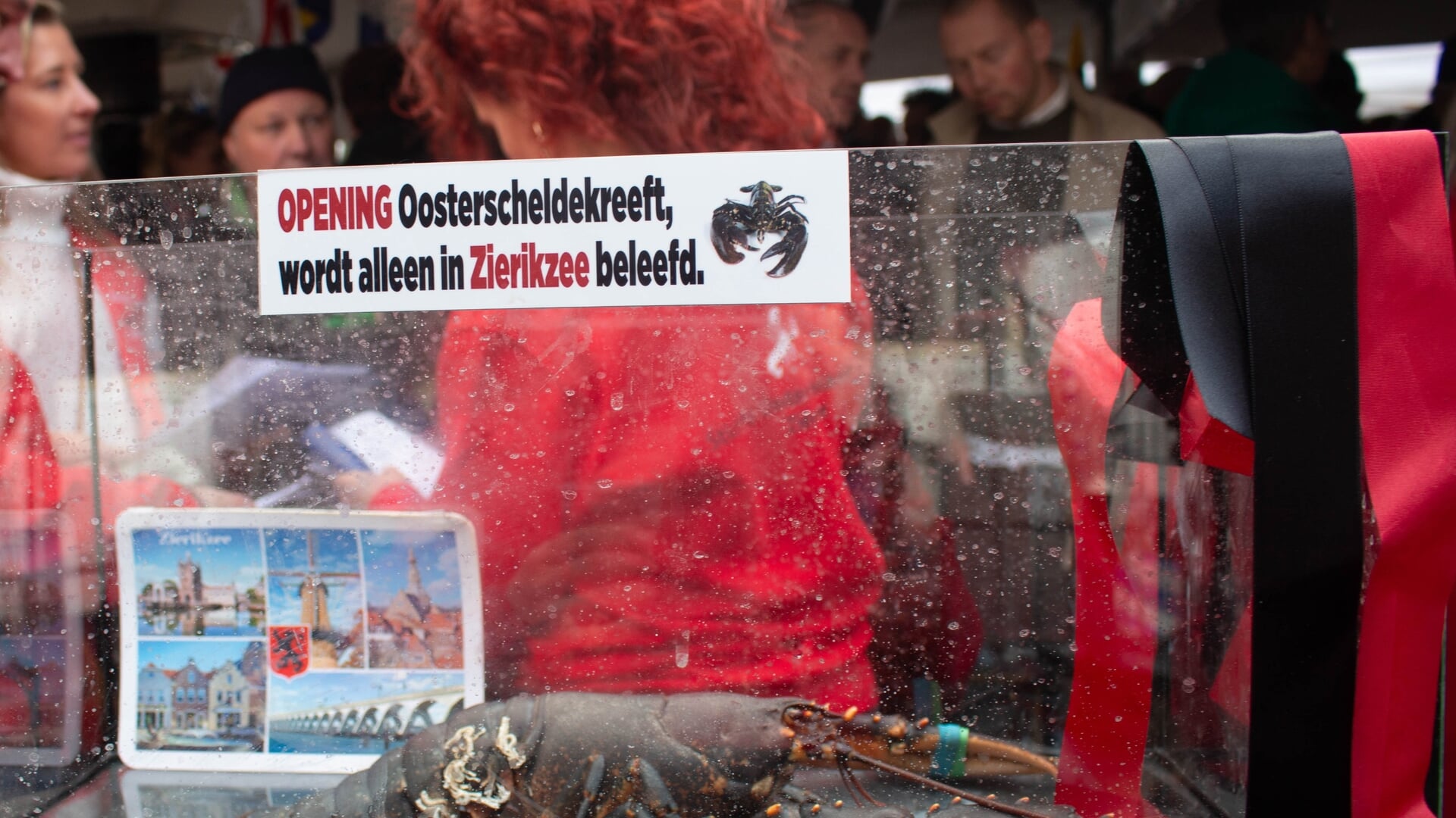 Seizoensstart met Grevelingenkreeft