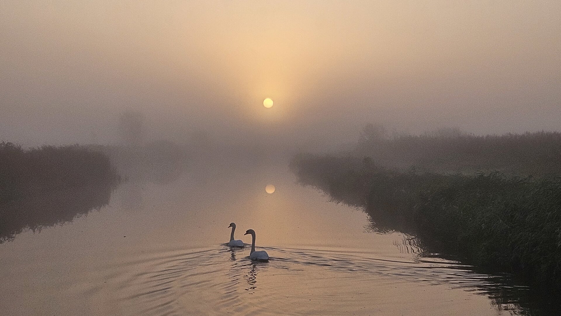 Prachtige zonsopkomst boven Oudeland van Strijen - Adverteren Hoeksche ...