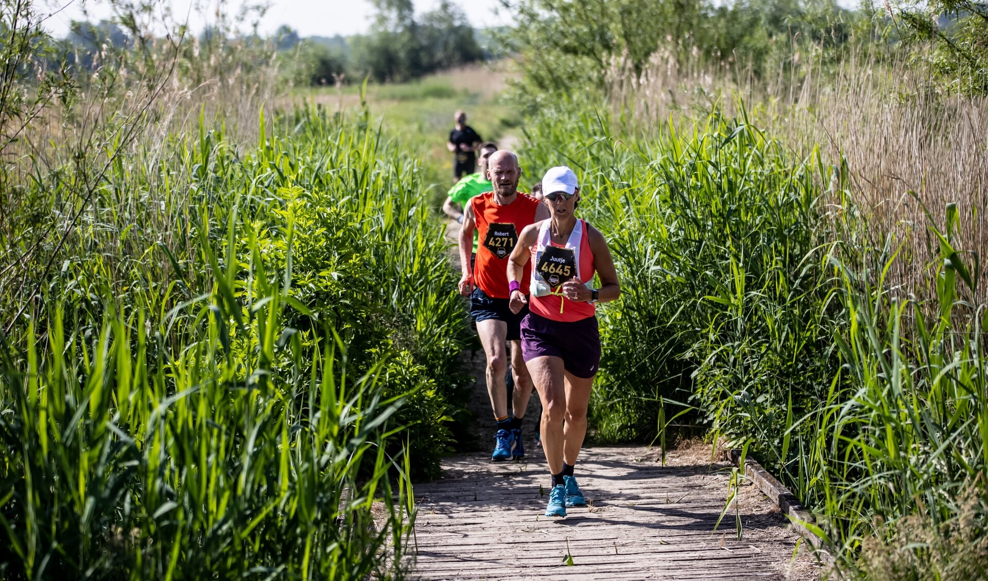 Vestingloop Den Bosch wordt weer buitengewoon! - Adverteren Den Bosch ...