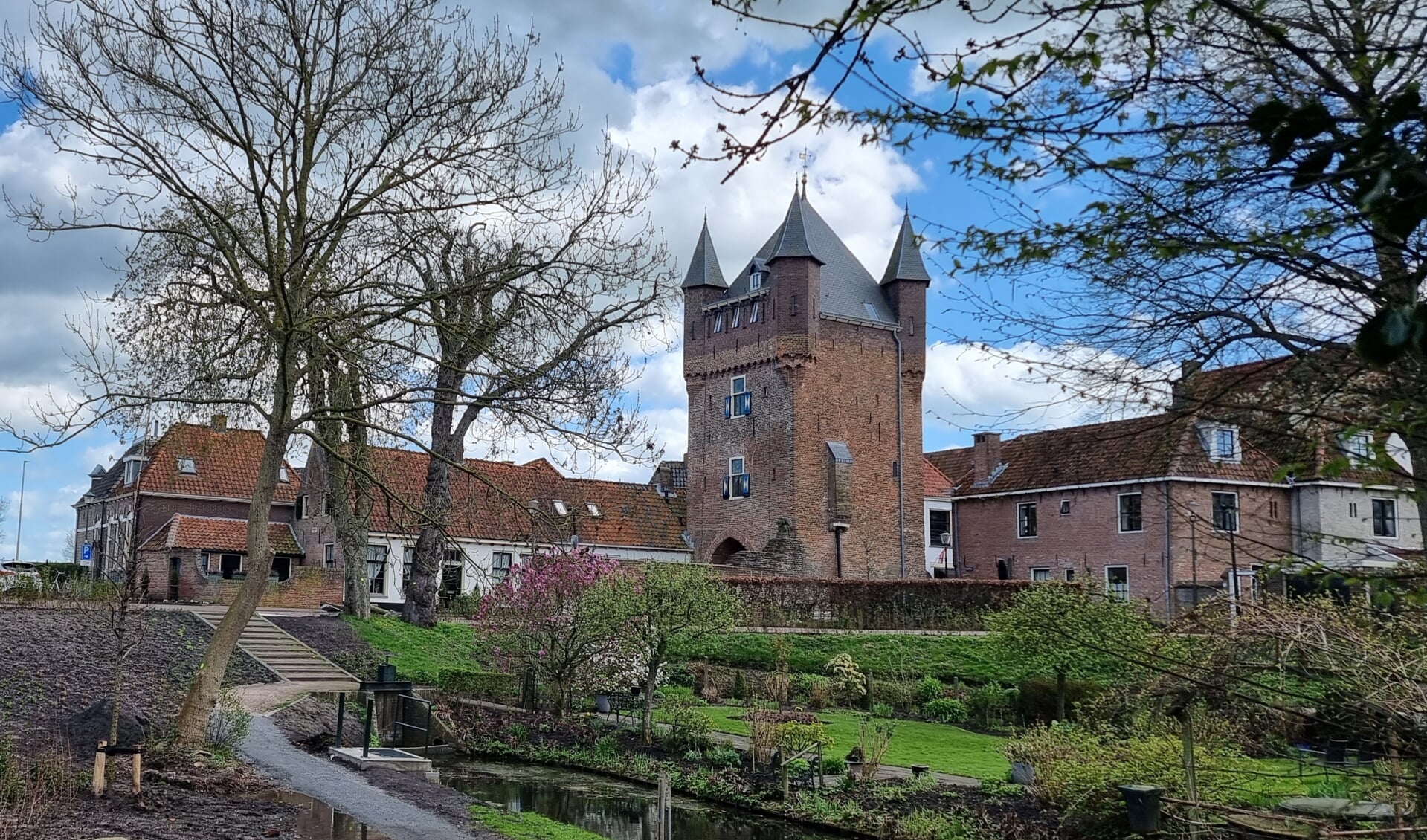 Bomen met groene stip zorgen voor onrust - DeHattemer.nl | Het laatste ...