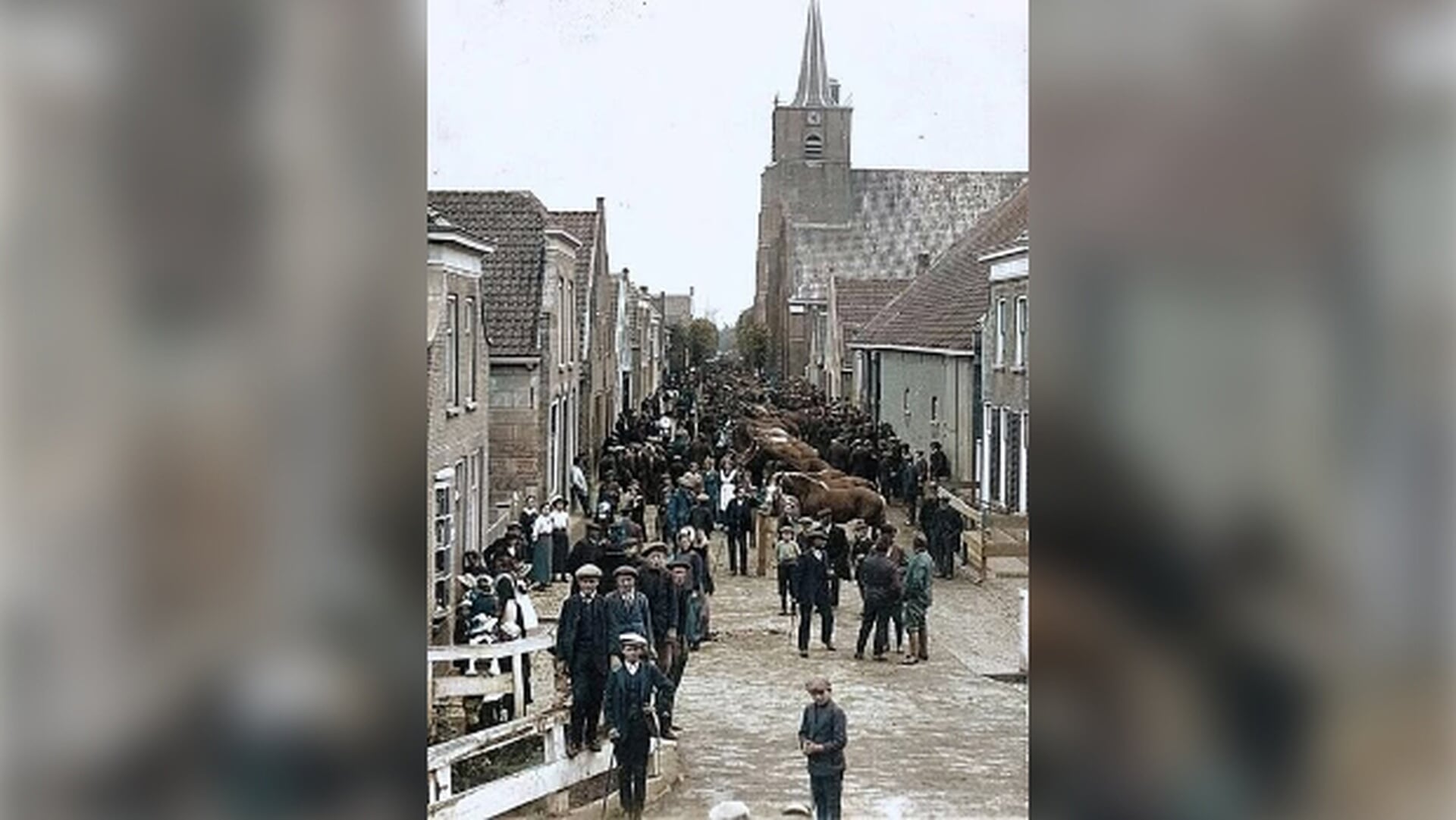 Buitensluisse Paardenmarkt: een Numesdurpse tradisie